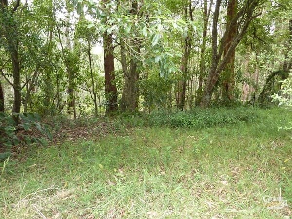 CHEVRON ISLAND, QLD, Chevron Island - Thumbnail 3
