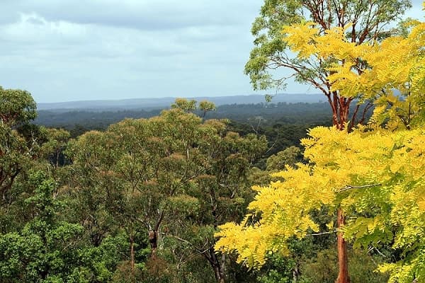 MILTON, QLD, Milton - Thumbnail 3