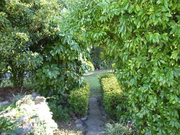 LOGAN RESERVE, QLD, Logan Reserve - Thumbnail 3