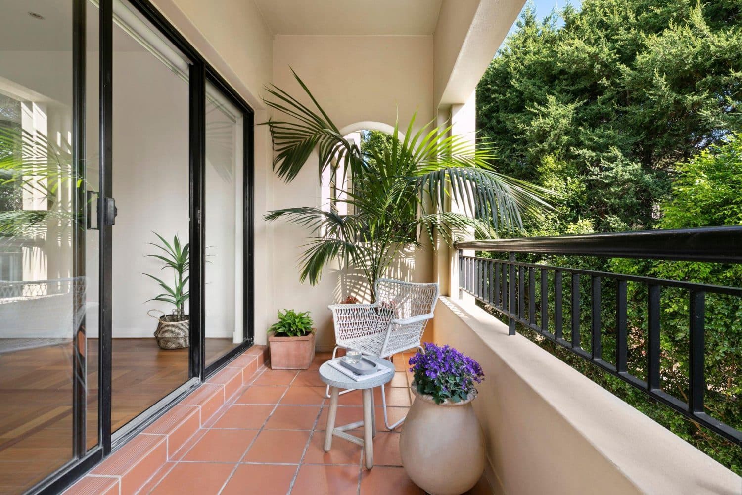 10/11-15 Young Street, Paddington - Thumbnail 5