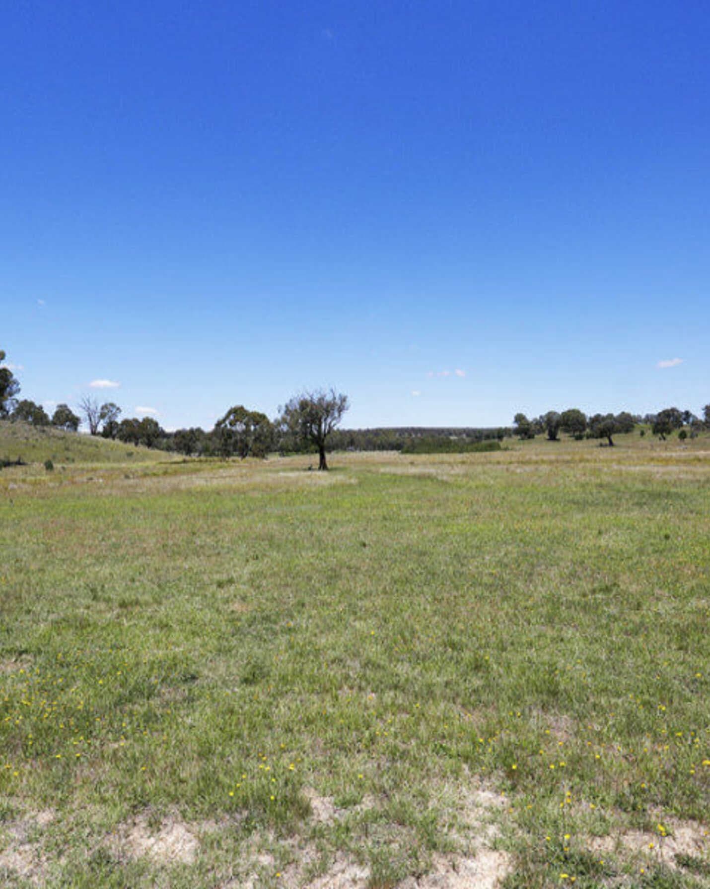 33 Ravenswood Road Goulburn, Goulburn - Thumbnail 2