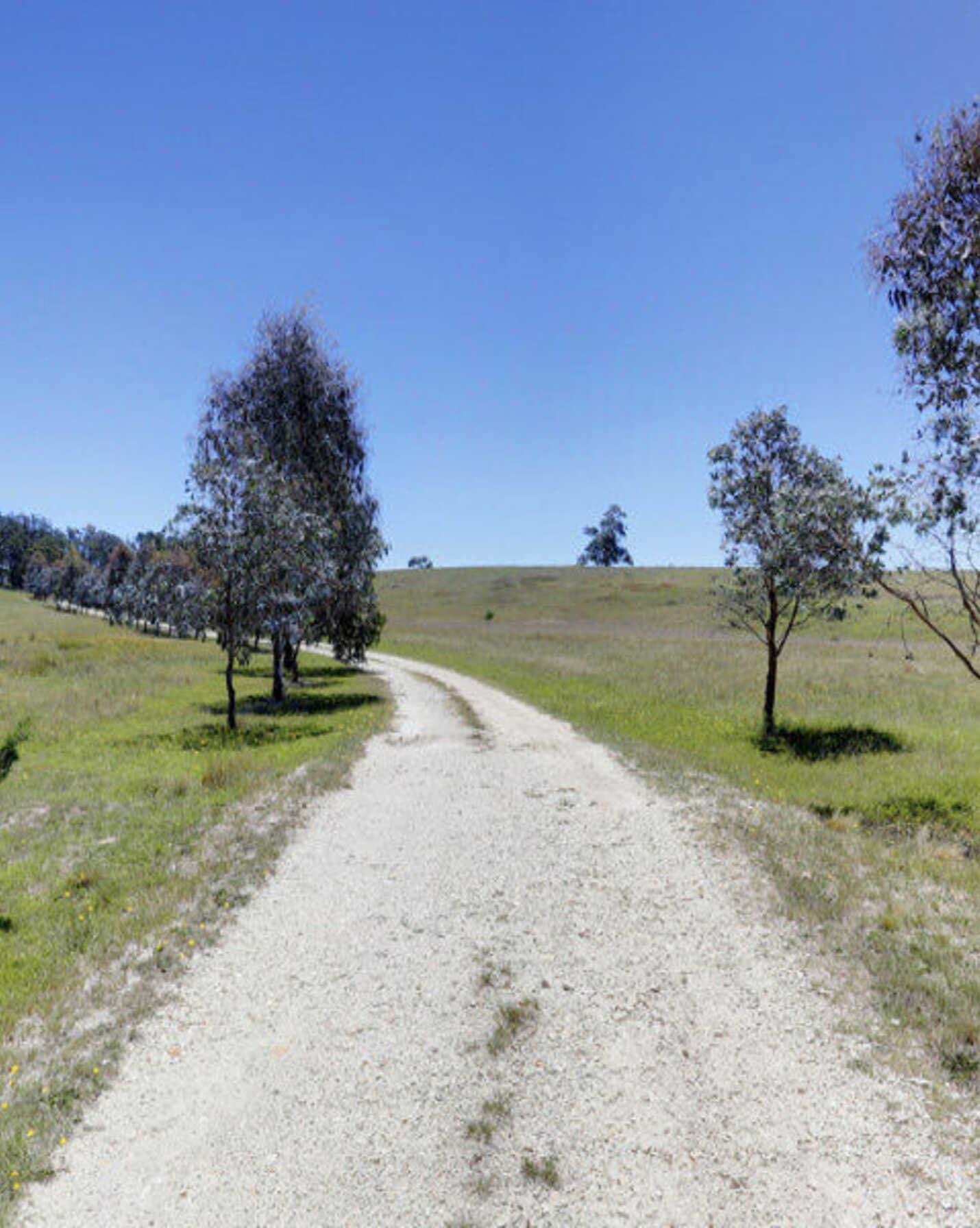 33 Ravenswood Road Goulburn, Goulburn - Thumbnail 3
