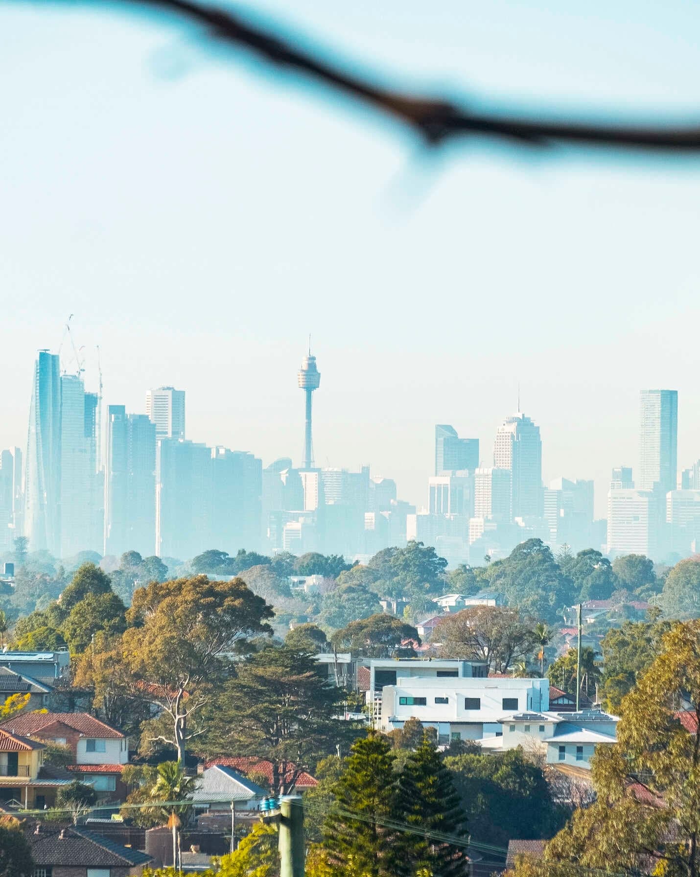 6/3 Aeolus Avenue Ryde, Ryde - Thumbnail 2