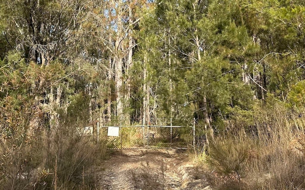 226 Percy Davis Drive, Moruya, NSW, 2537, Moruya - Thumbnail 3