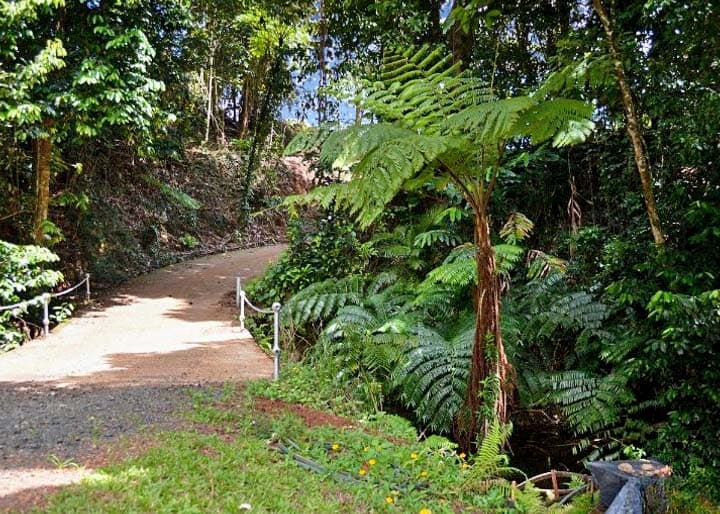 406 Donkin Road, Utchee Creek, QLD, 4871, Utchee Creek - Thumbnail 5