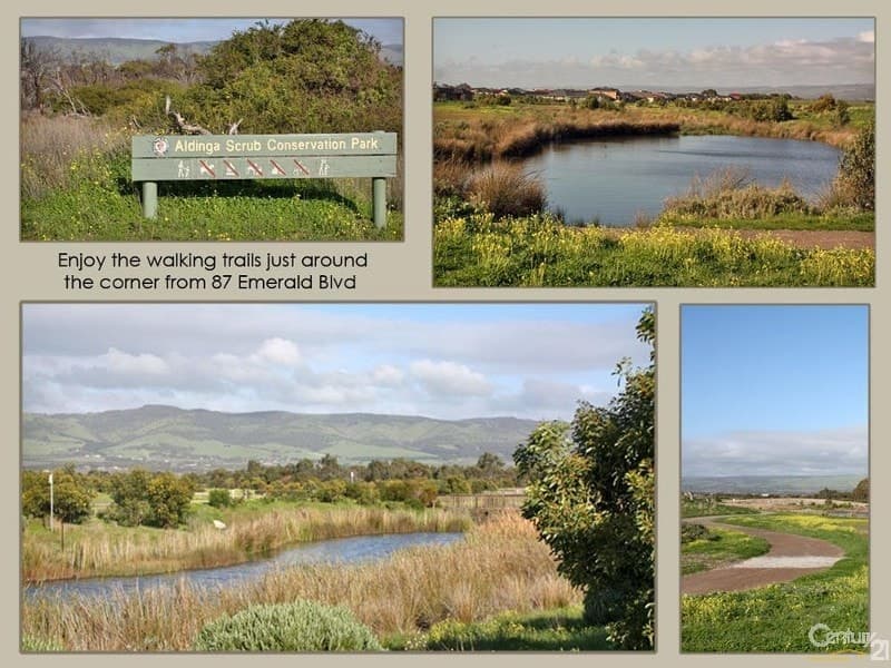 161 Esplanade, Aldinga Beach, SA, 5173, Aldinga Beach - Thumbnail 5