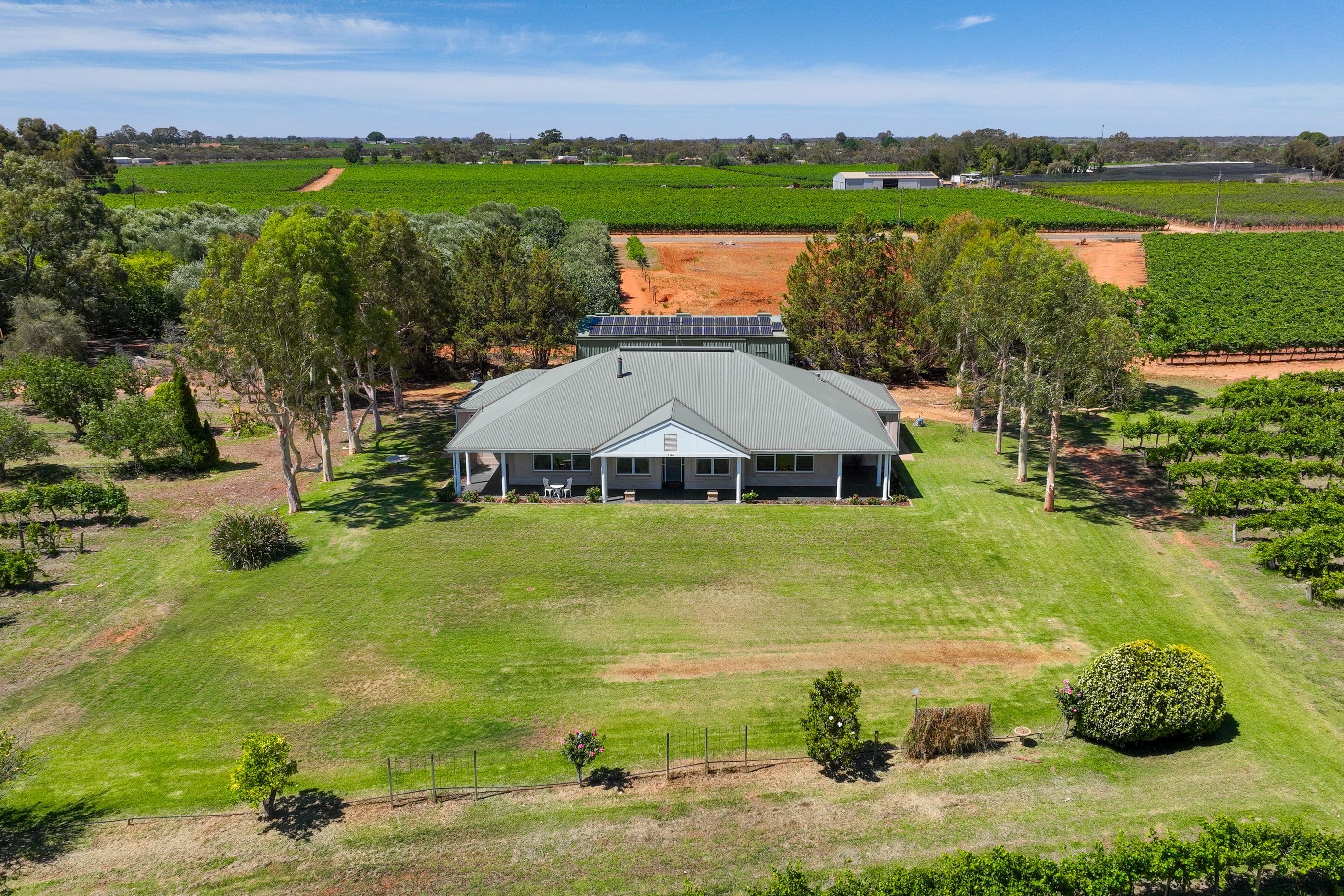 17356 Sturt Highway, Barmera SA 5345, Barmera - Thumbnail 2