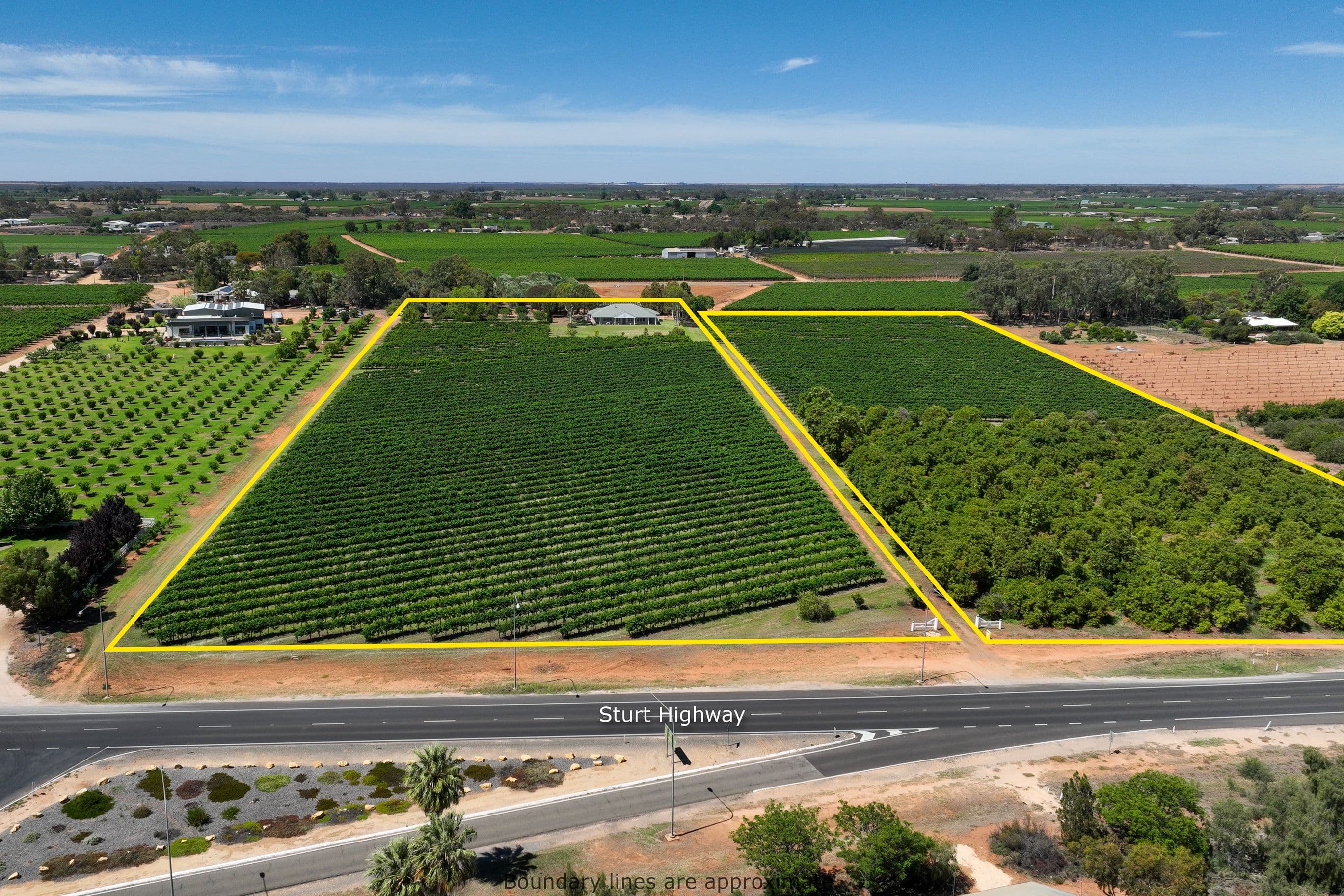 17356 Sturt Highway, Barmera SA 5345, Barmera - Thumbnail 4