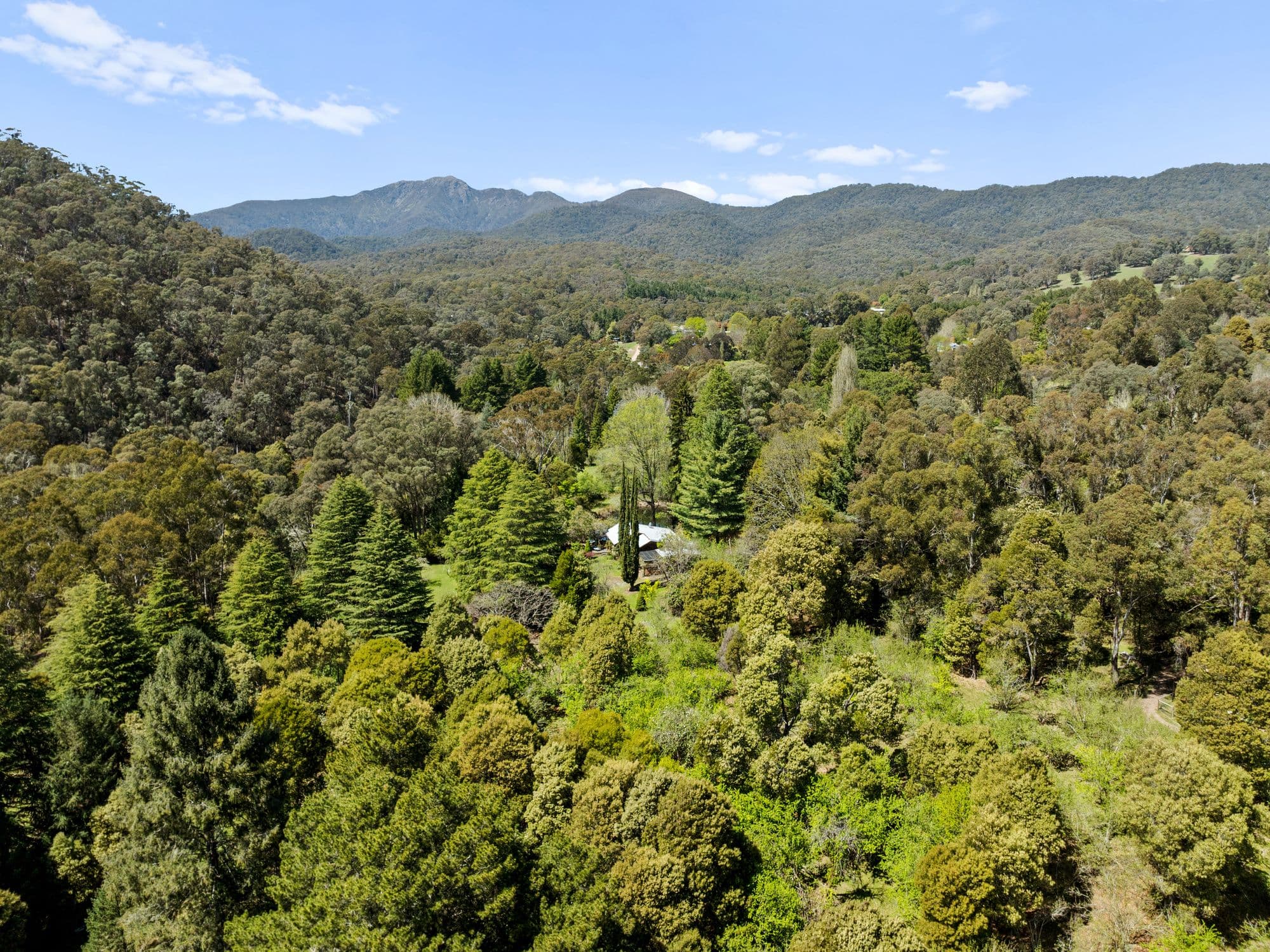 2730 Mt Buller Road, Merrijig VIC 3723, Merrijig - Thumbnail 4