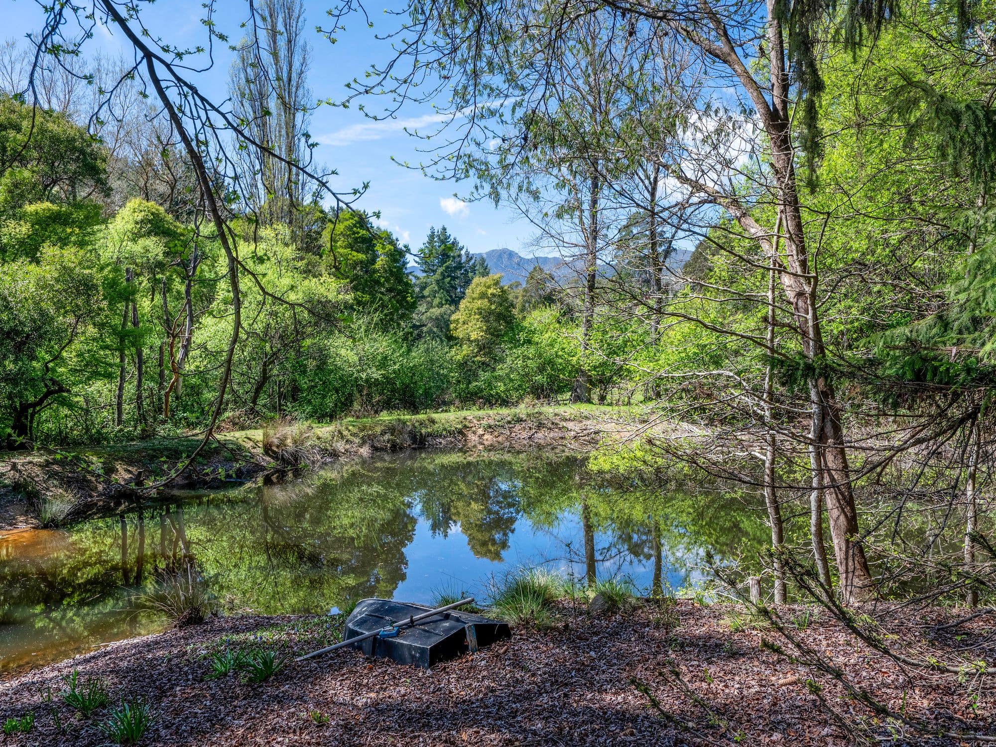 2730 Mt Buller Road, Merrijig VIC 3723, Merrijig - Thumbnail 5