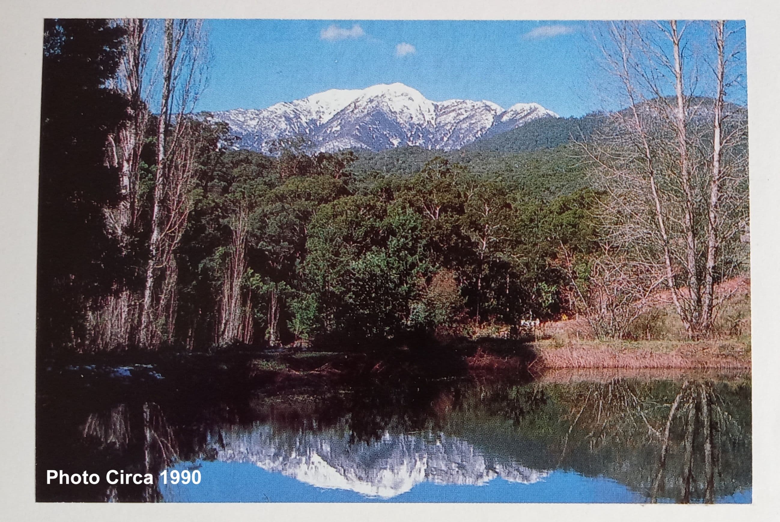 2730 Mt Buller Road, Merrijig VIC 3723, Merrijig - Thumbnail 6