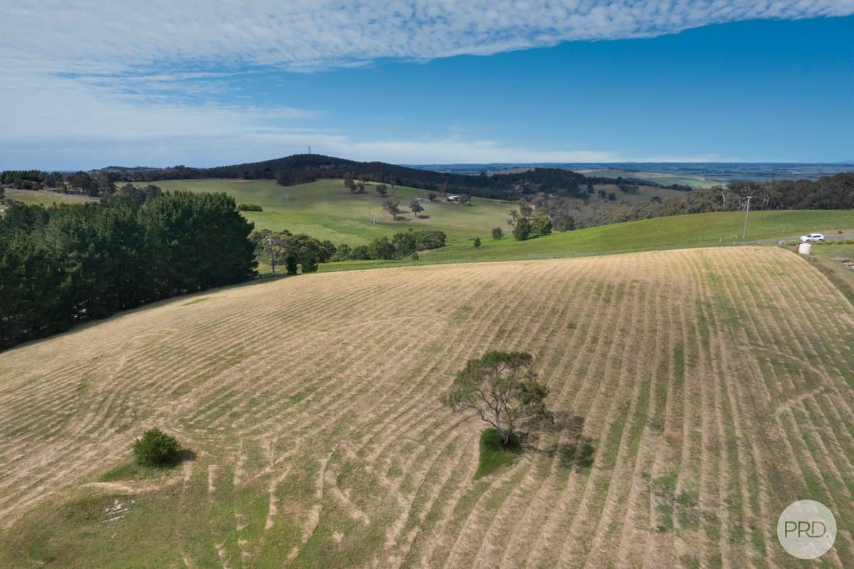 Lot 4 Flagstaff Ridge Road, LINTON VIC 3360, Linton - Thumbnail 3
