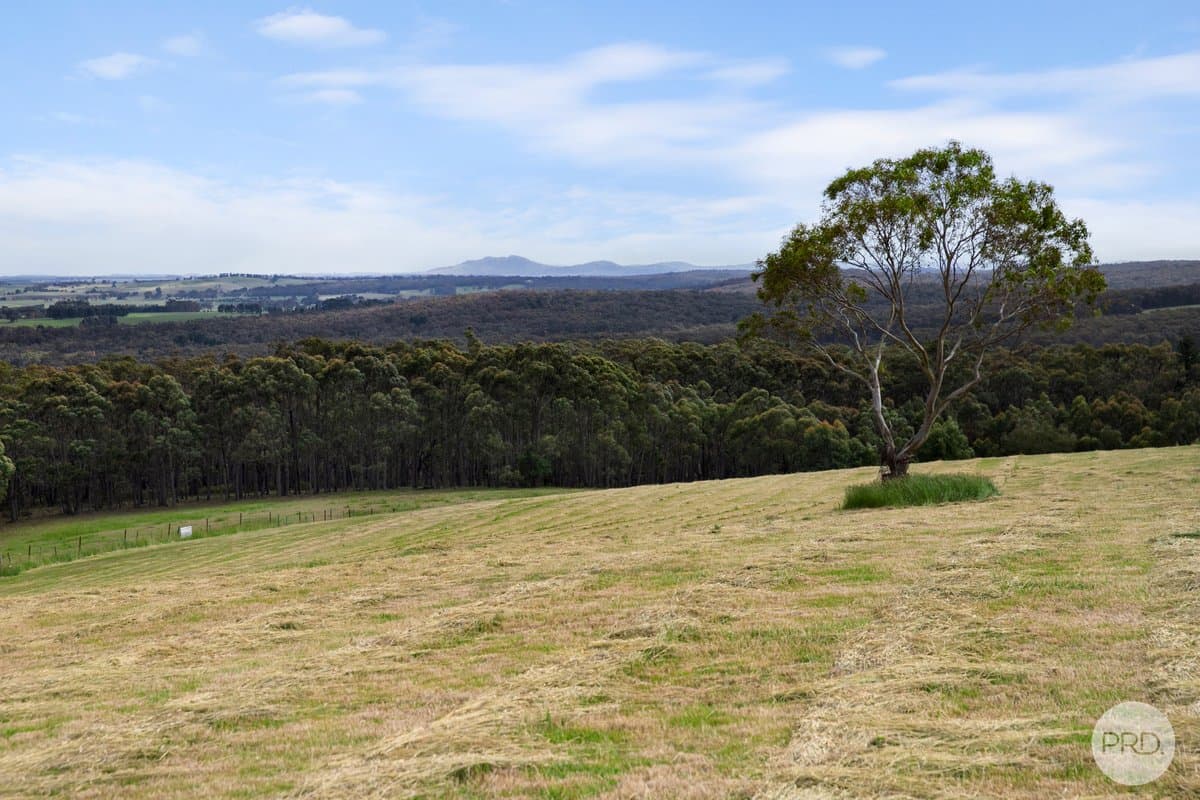 Lot 4 Flagstaff Ridge Road, LINTON VIC 3360, Linton - Thumbnail 4
