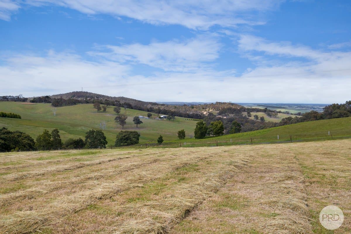 Lot 4 Flagstaff Ridge Road, LINTON VIC 3360, Linton - Thumbnail 5