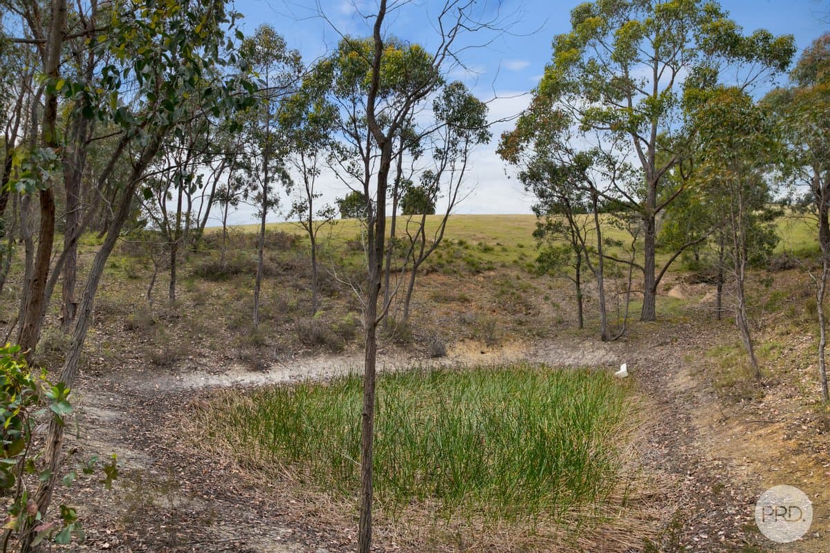 Lot 4 Flagstaff Ridge Road, LINTON VIC 3360, Linton - Thumbnail 8