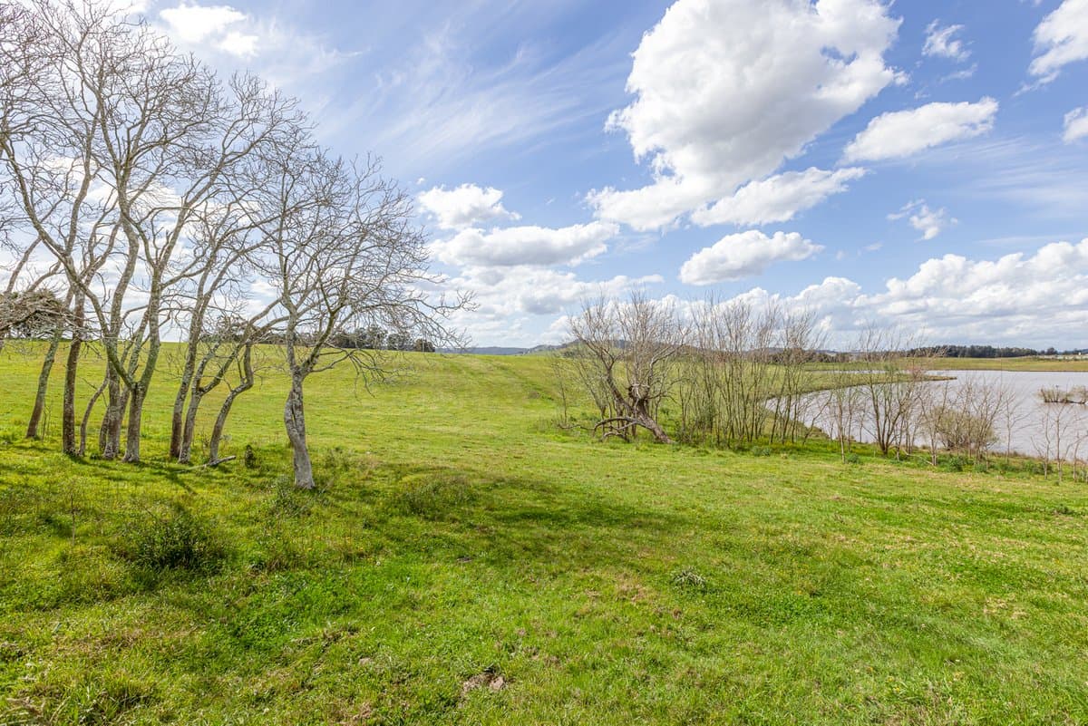 118 Anambah Road, ANAMBAH NSW 2320, Anambah - Thumbnail 8