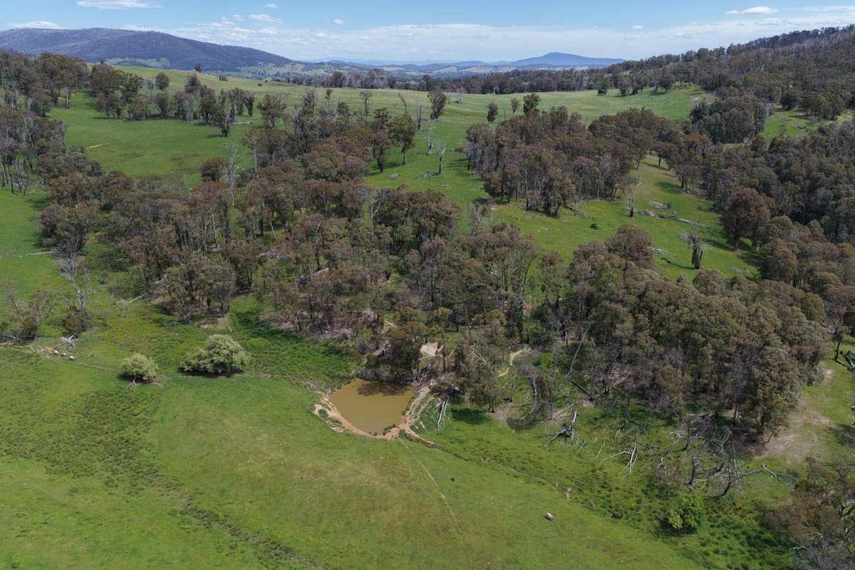 954 Courabyra Road, TUMBARUMBA NSW 2653, Courabyra - Thumbnail 2