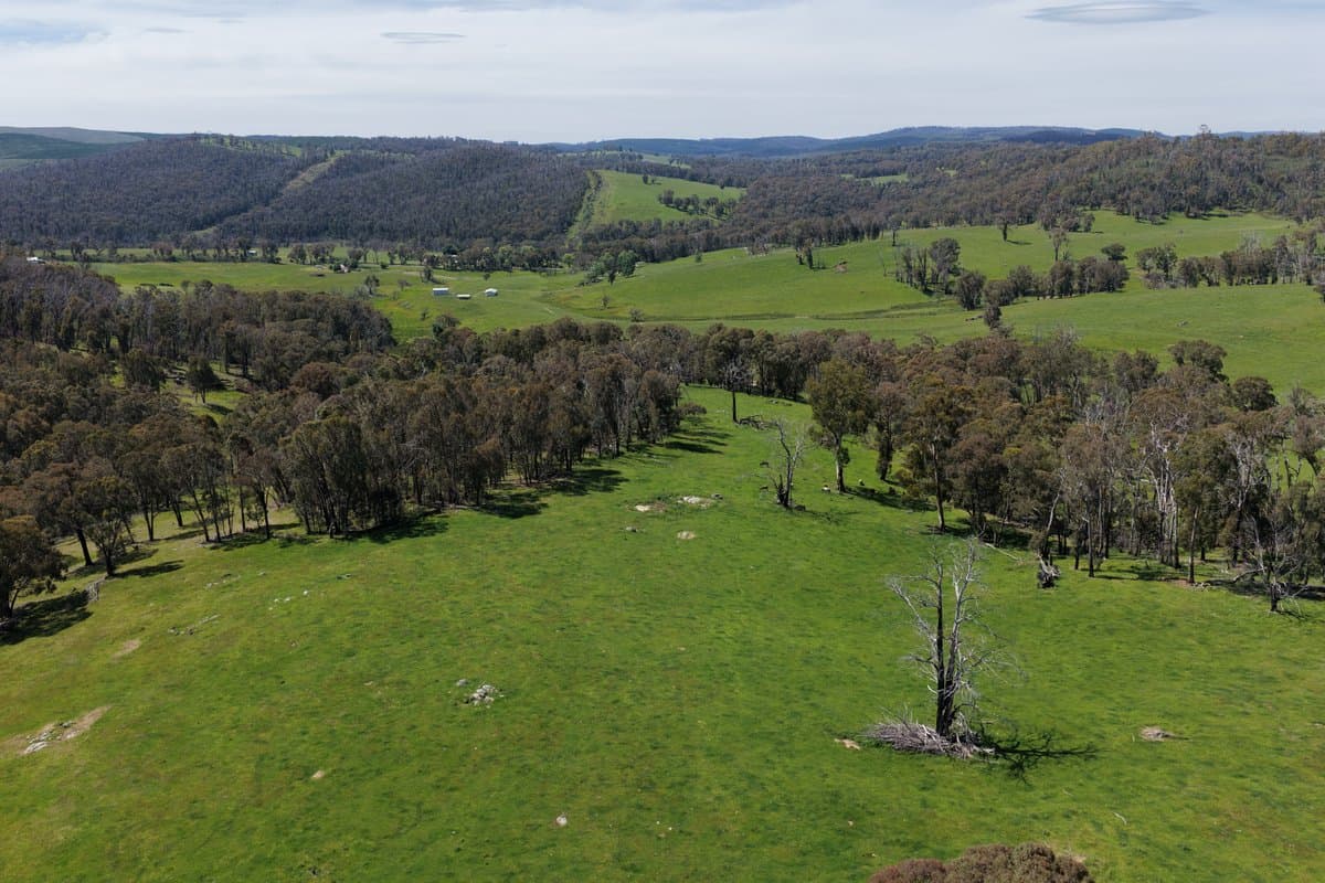 954 Courabyra Road, TUMBARUMBA NSW 2653, Courabyra - Thumbnail 3