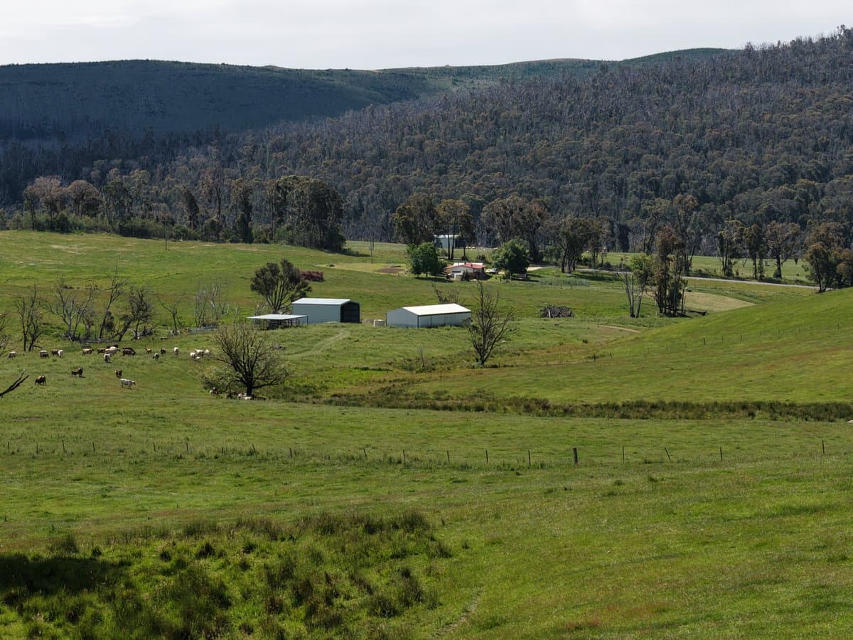 954 Courabyra Road, TUMBARUMBA NSW 2653, Courabyra - Thumbnail 4