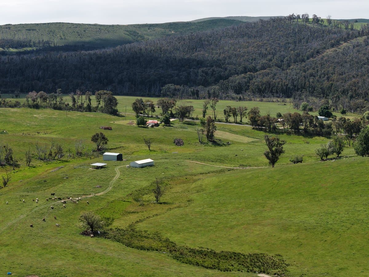 954 Courabyra Road, TUMBARUMBA NSW 2653, Courabyra - Thumbnail 5