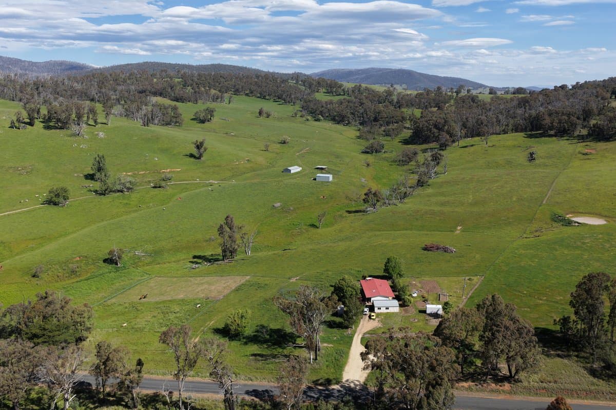 954 Courabyra Road, TUMBARUMBA NSW 2653, Courabyra - Thumbnail 6
