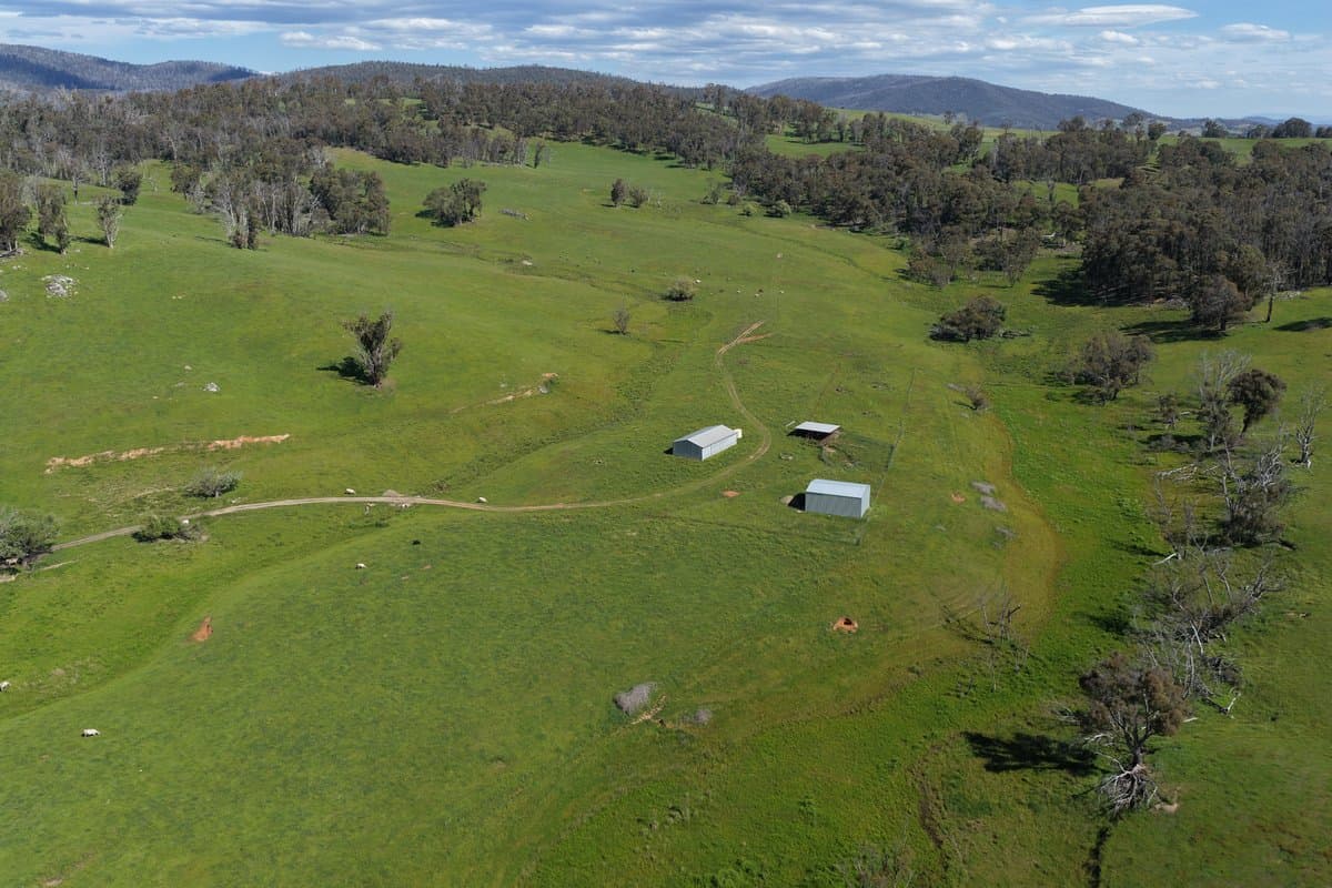 954 Courabyra Road, TUMBARUMBA NSW 2653, Courabyra - Thumbnail 7