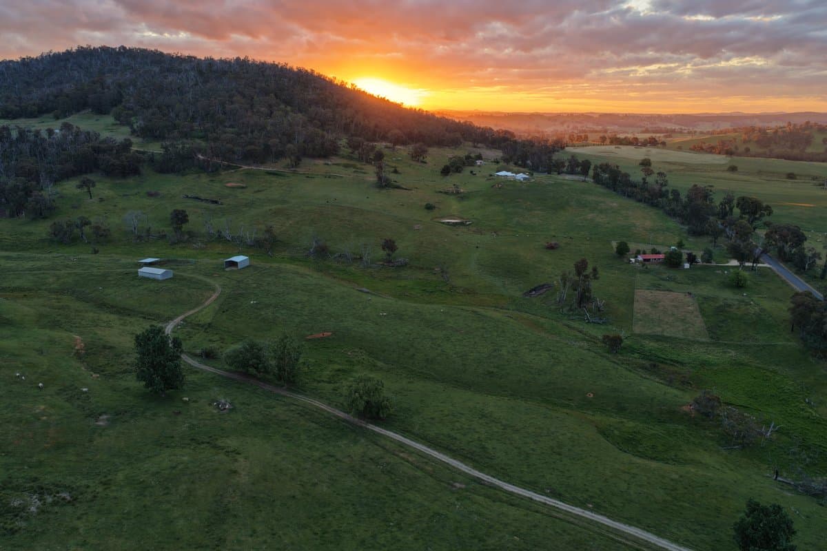 954 Courabyra Road, TUMBARUMBA NSW 2653, Courabyra - Thumbnail 8
