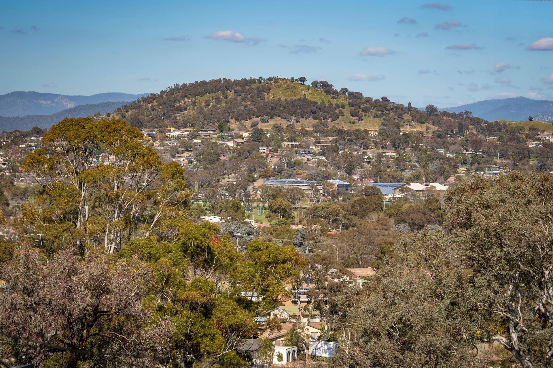 22 Rubbo Crescent, Weston ACT 2611, Weston - Thumbnail 2