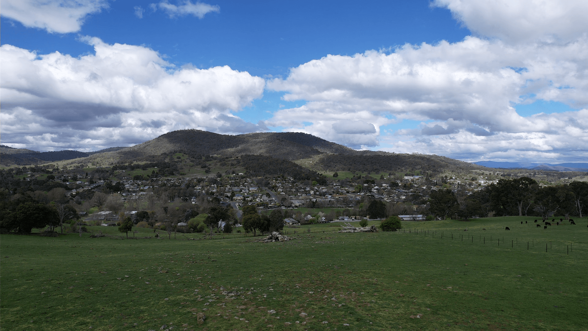 13 Chaffey Close, Tumbarumba NSW 2653, Tumbarumba - Thumbnail 3