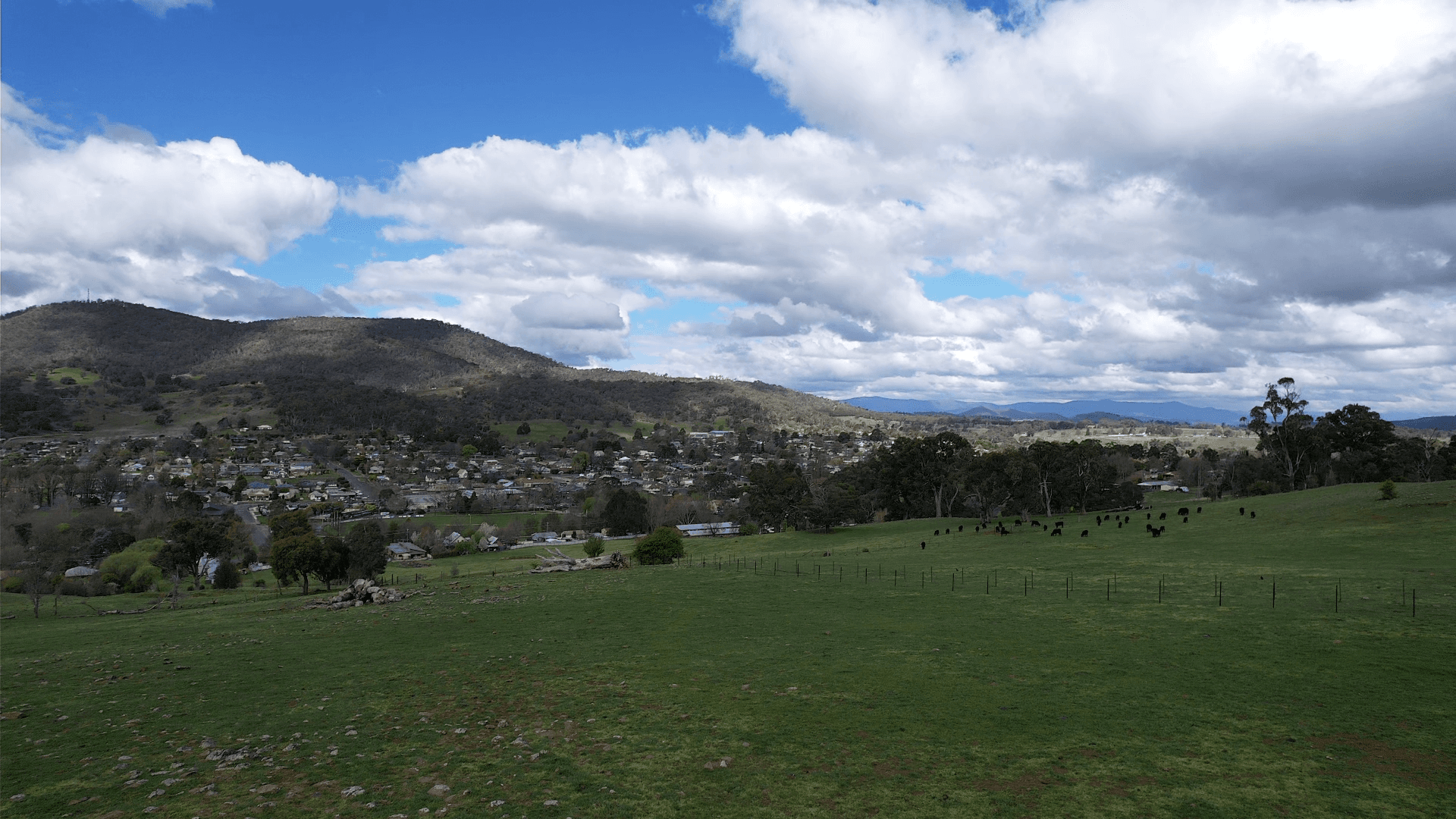 13 Chaffey Close, Tumbarumba NSW 2653, Tumbarumba - Thumbnail 5