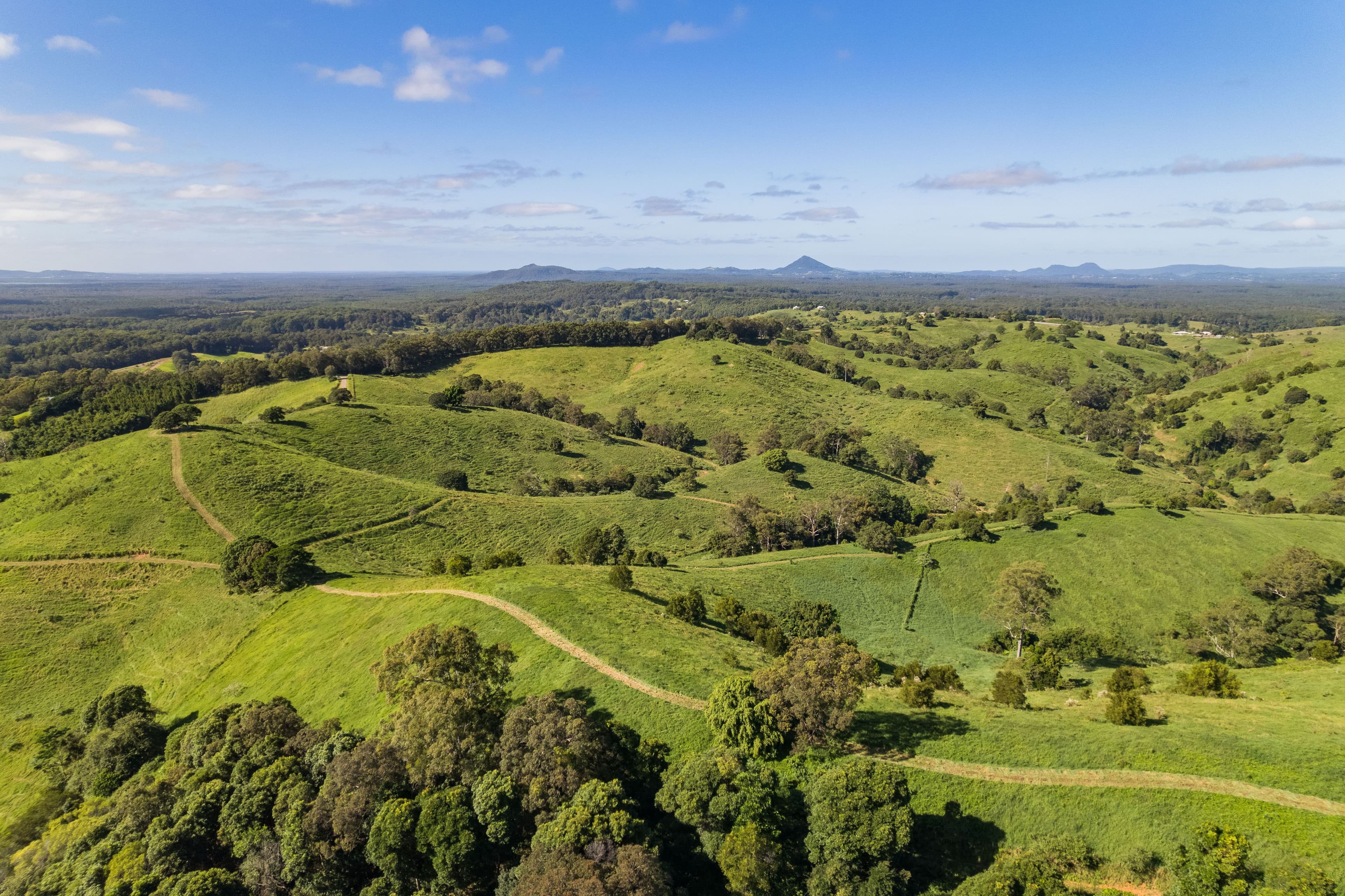 37 Simpsons Road, Cootharaba QLD 4565, Cootharaba - Thumbnail 8