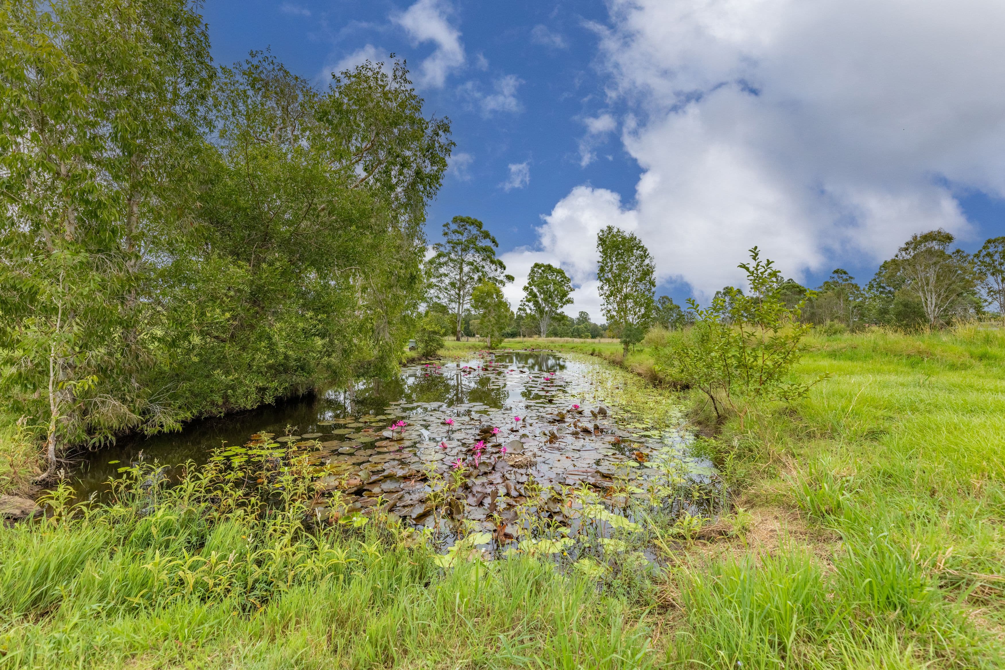 29 Heaton Court, Delaneys Creek QLD 4514, Delaneys Creek - Thumbnail 3