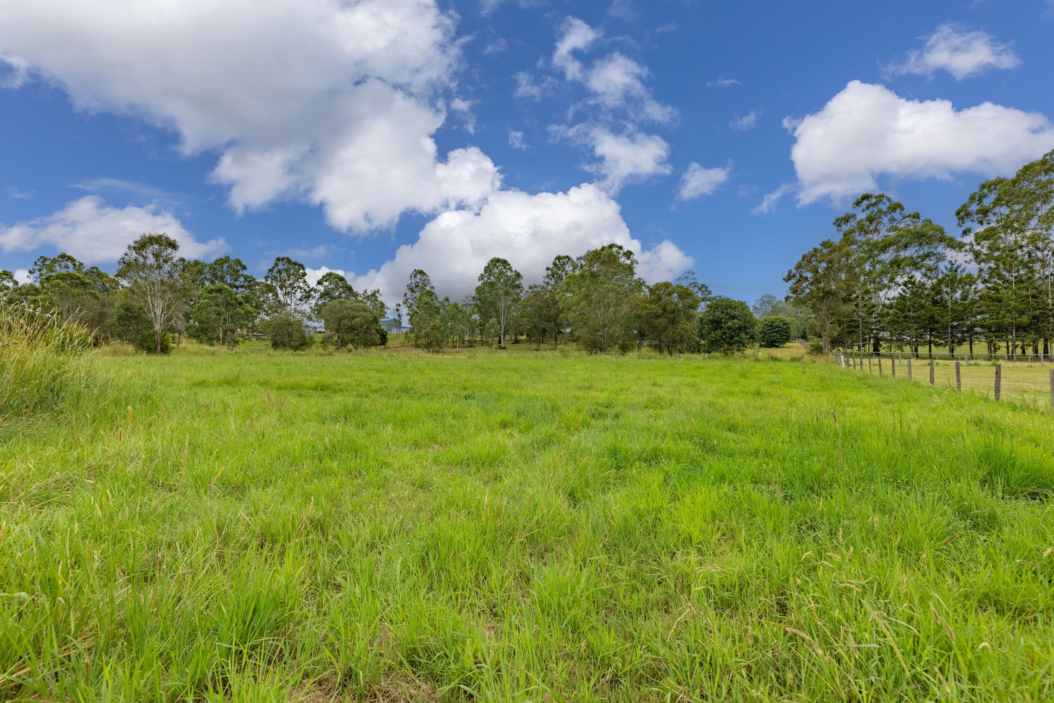 29 Heaton Court, Delaneys Creek QLD 4514, Delaneys Creek - Thumbnail 4