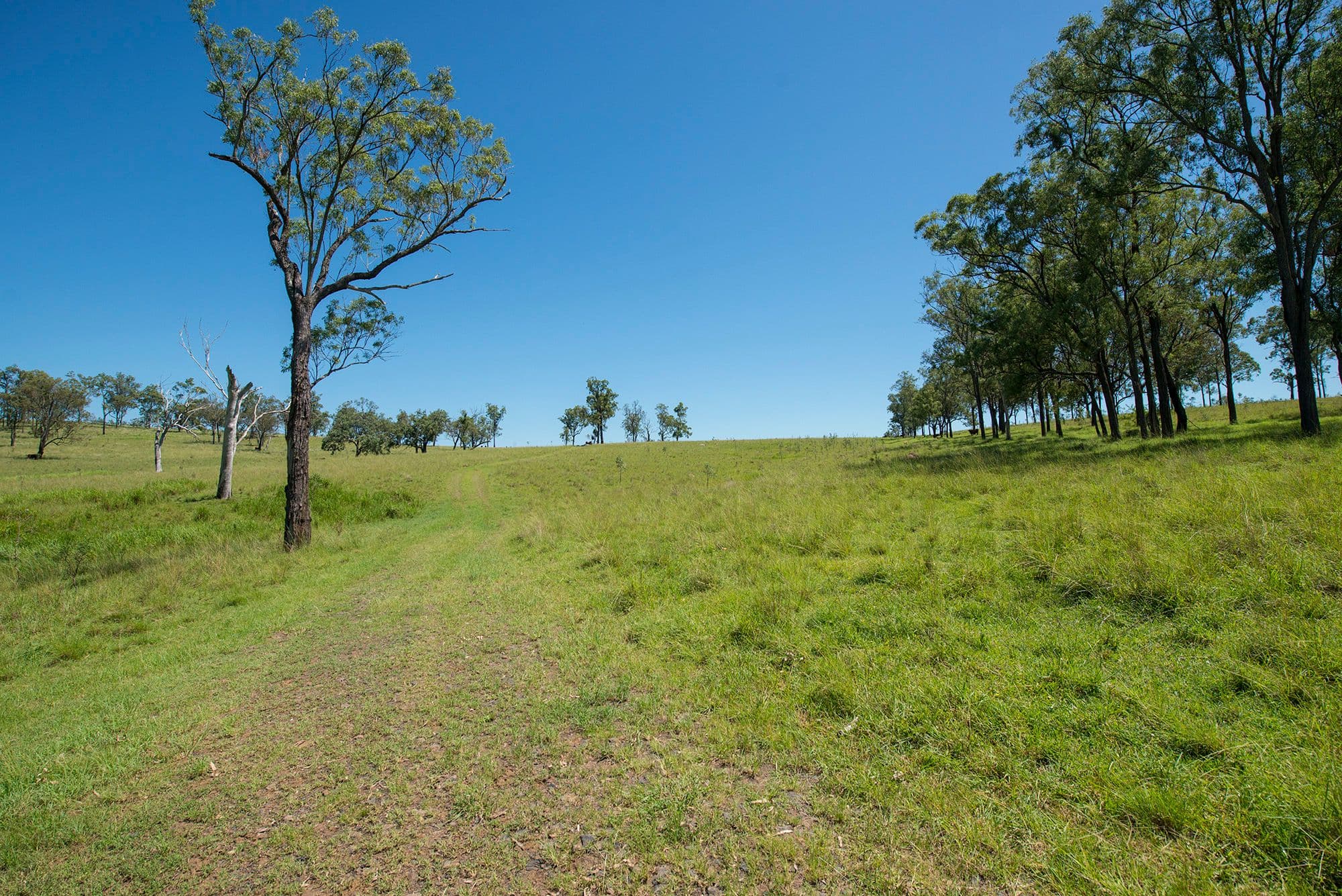 Corner Tralee & Waines Road, MOUNT WALKER WEST QLD 4340, Mount Walker West - Thumbnail 6