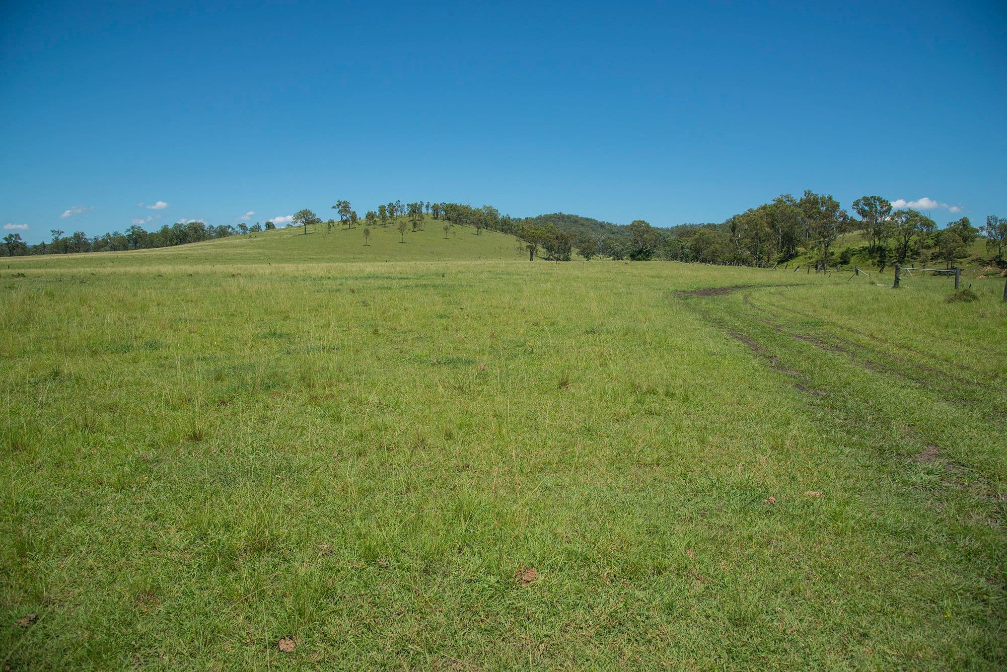Corner Tralee & Waines Road, MOUNT WALKER WEST QLD 4340, Mount Walker West - Thumbnail 7