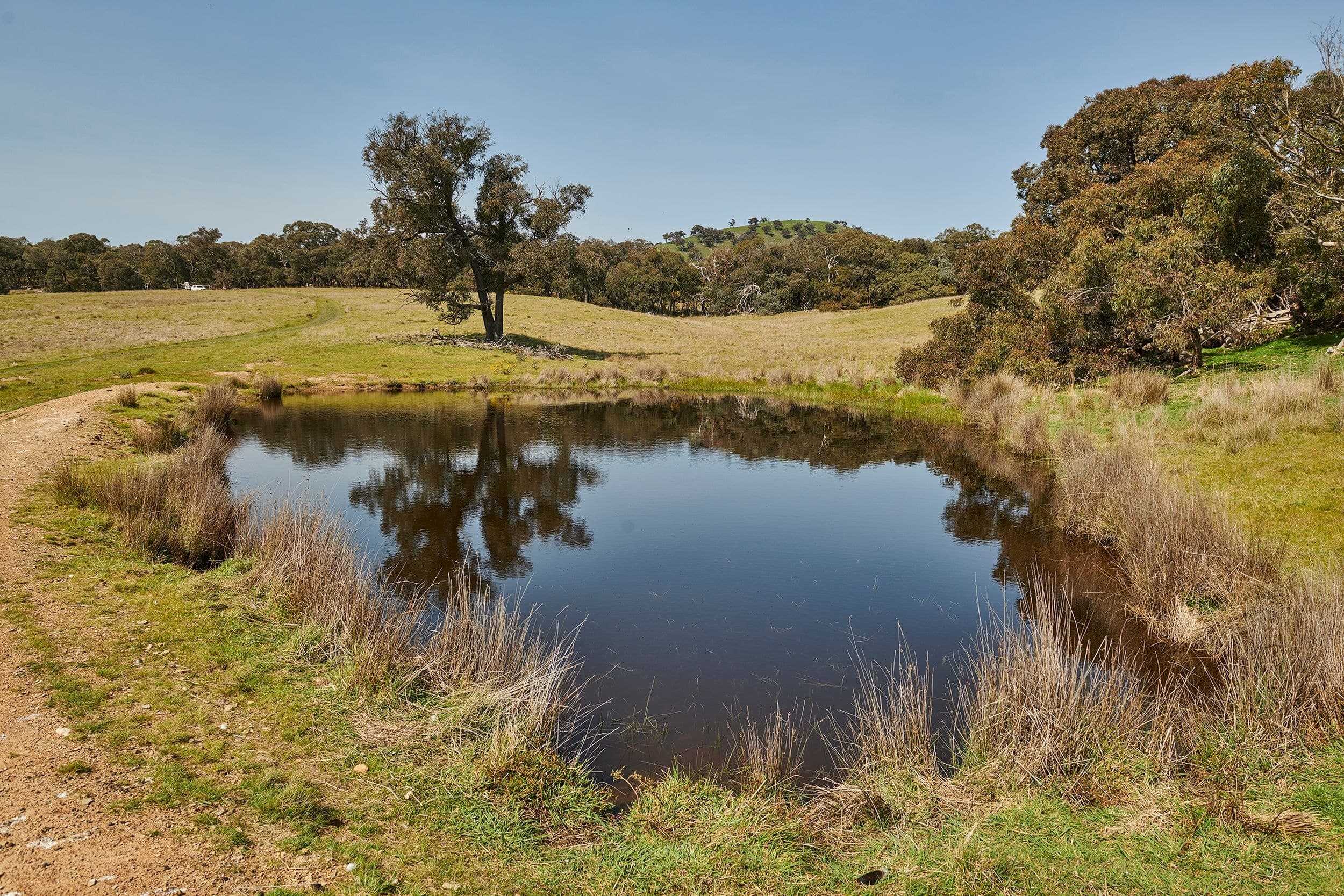 204 Hayes Gully Road, Tooborac VIC 3522, Tooborac - Thumbnail 2