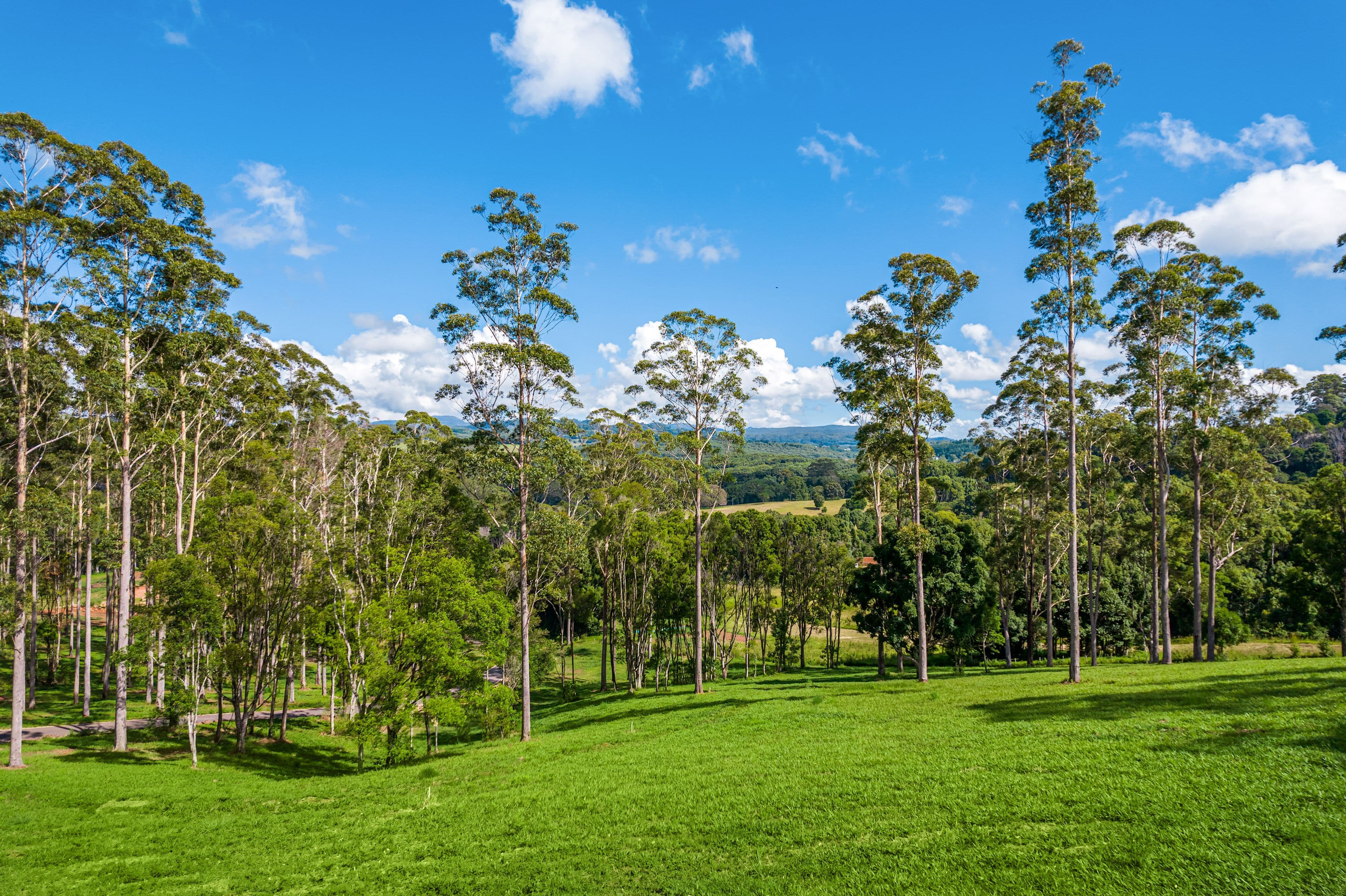 Coorabell NSW 2479, Coorabell - Image 1