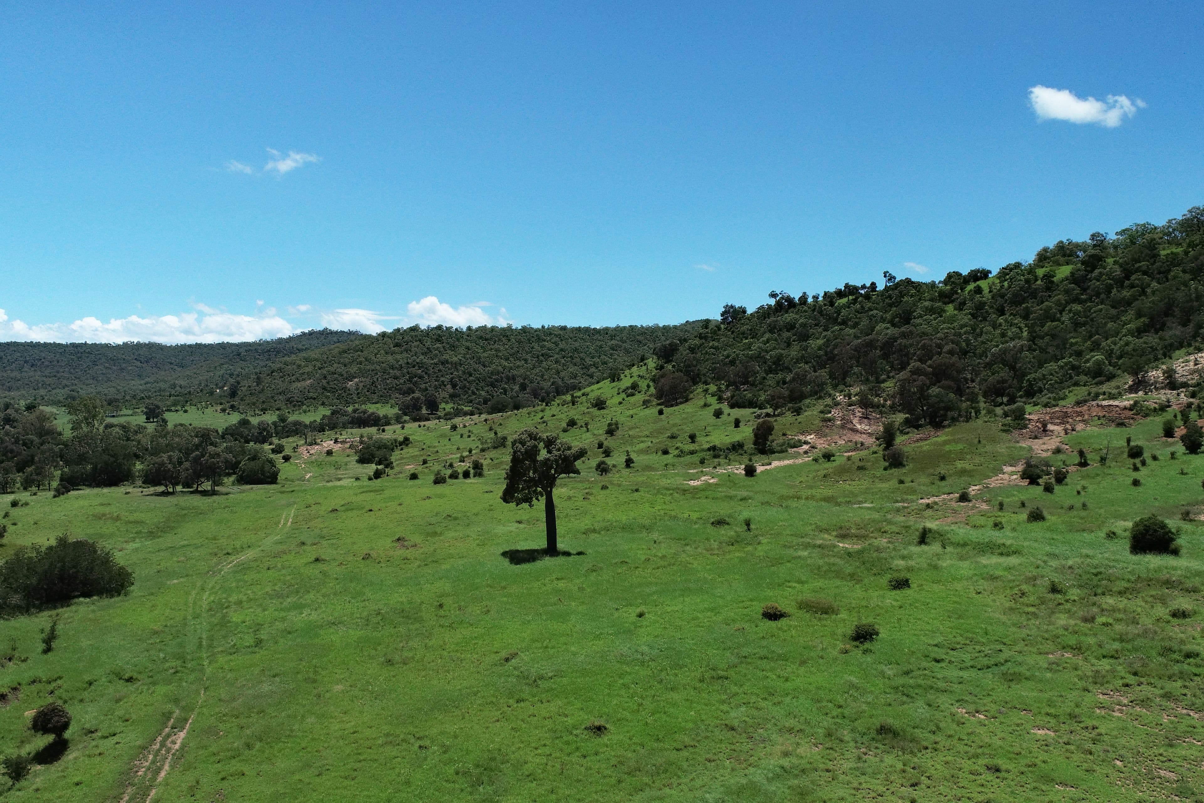 Thangool QLD 4716, Thangool - Thumbnail 6