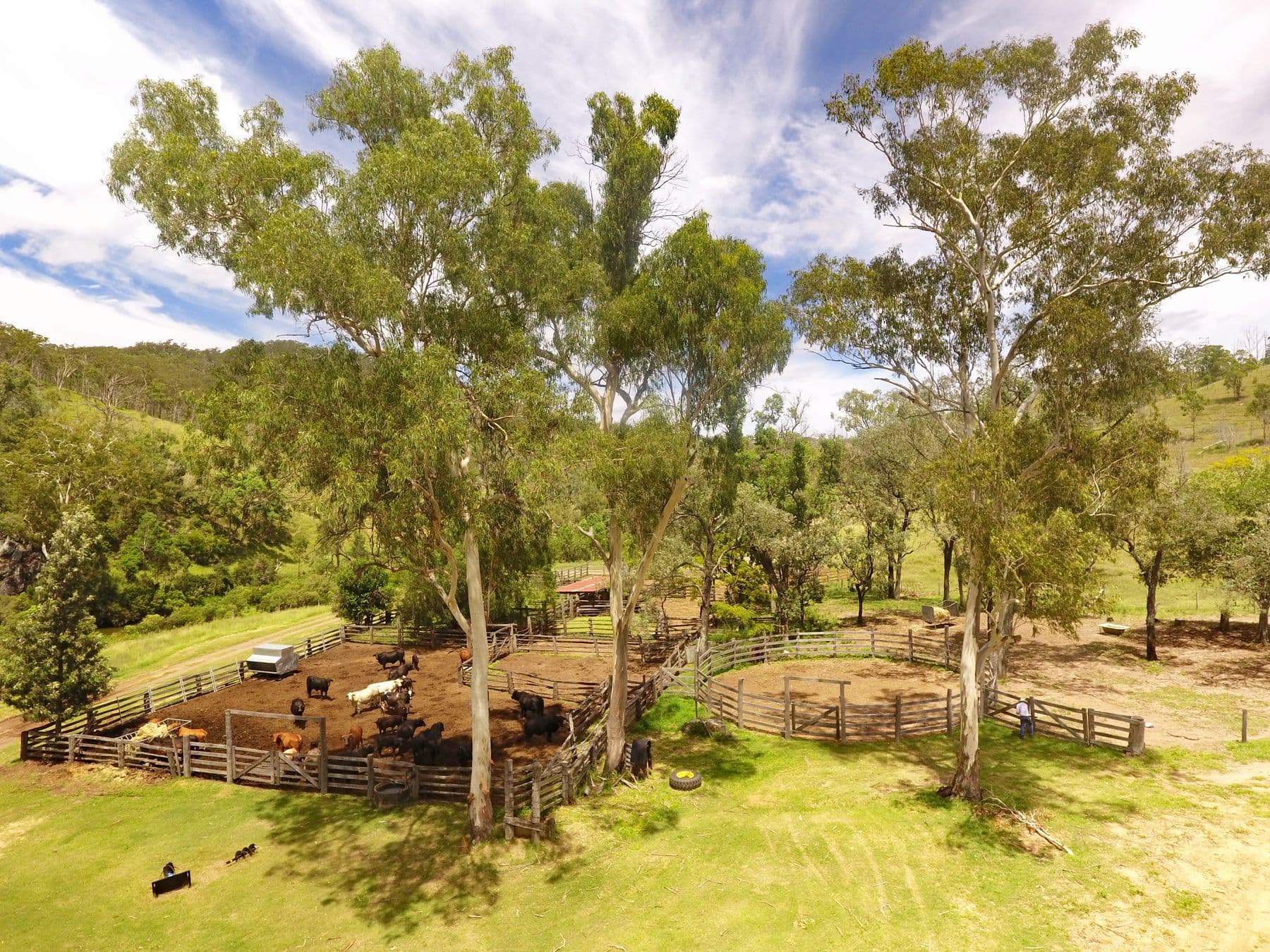 "Twin Creeks" 1472 Twin Creeks Road, Yarrol QLD 4630, Yarrol - Thumbnail 7