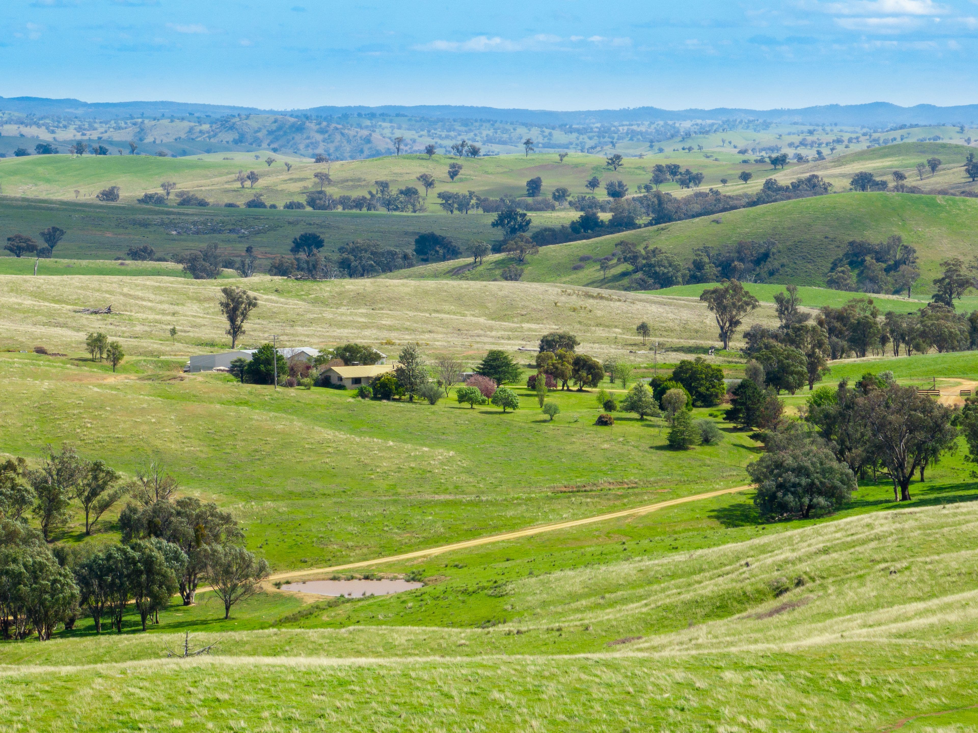 'Cronga Peak' 157 Cronga Peak Road, Molong NSW 2866, Molong - Thumbnail 2