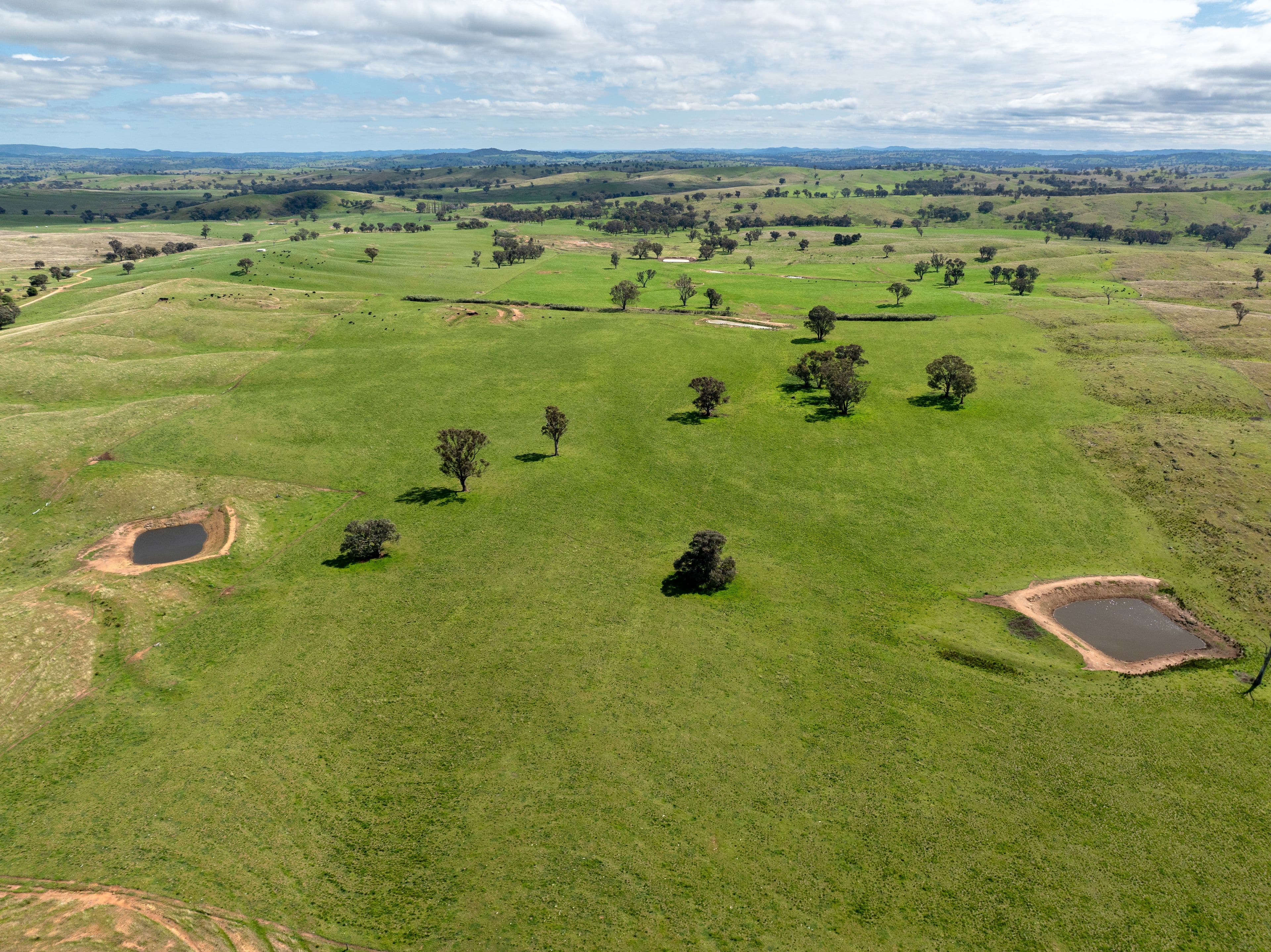 'Cronga Peak' 157 Cronga Peak Road, Molong NSW 2866, Molong - Thumbnail 4