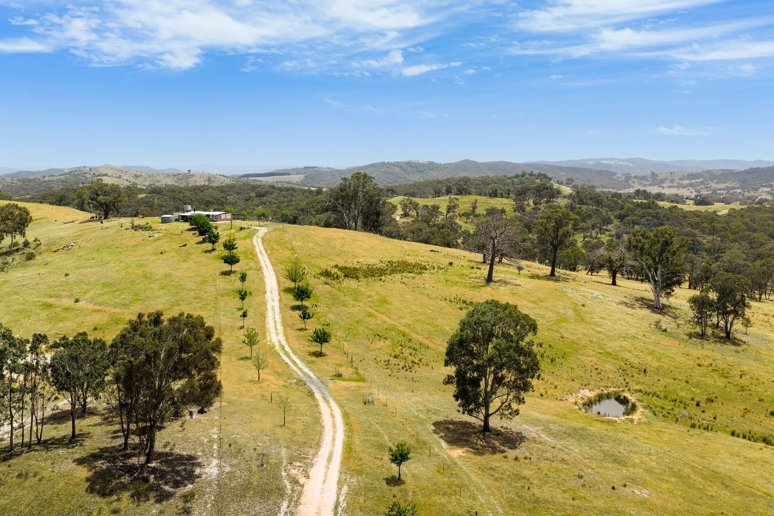 505 Wangalo Road, Peelwood NSW 2583, Peelwood - Thumbnail 2