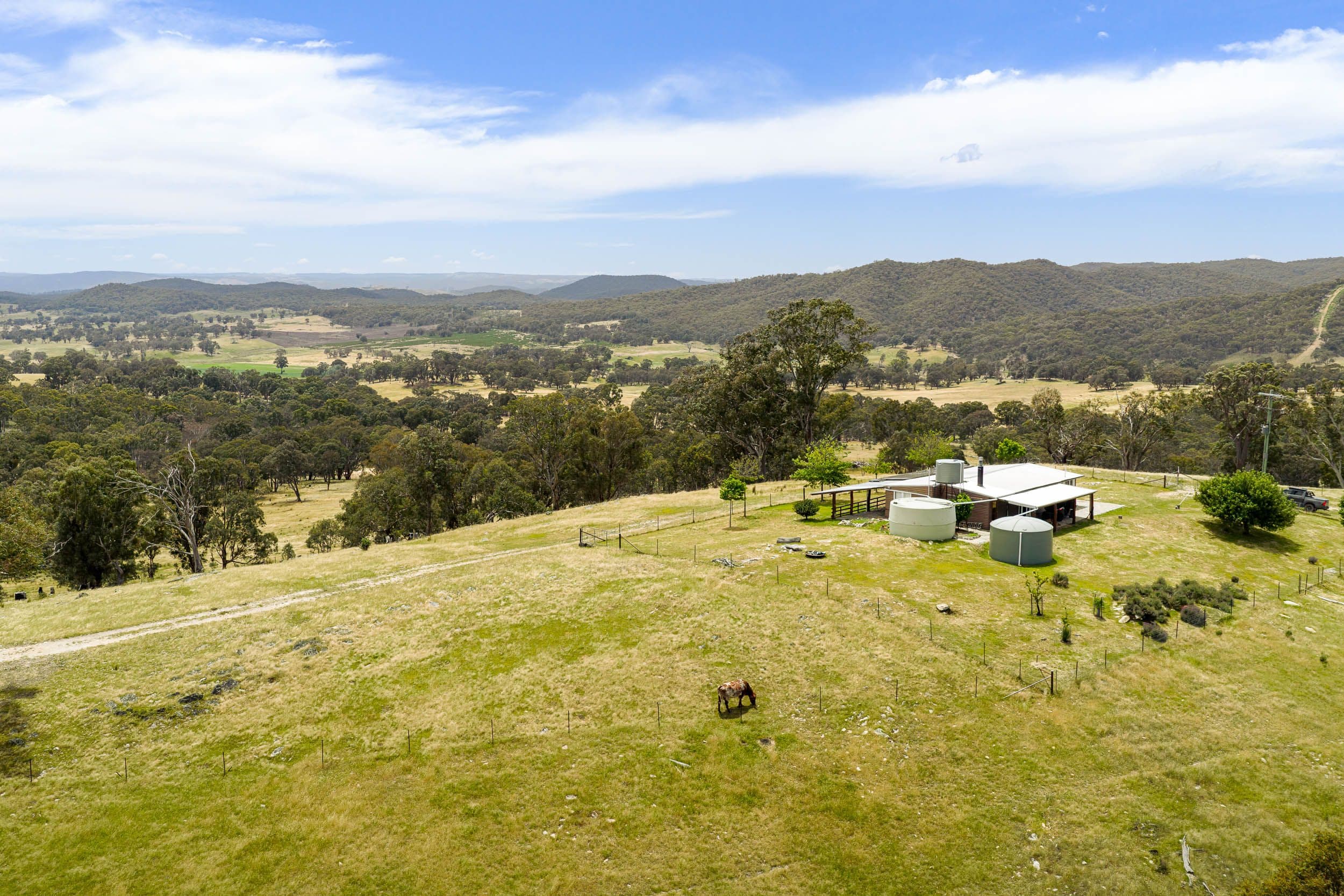 505 Wangalo Road, Peelwood NSW 2583, Peelwood - Thumbnail 3