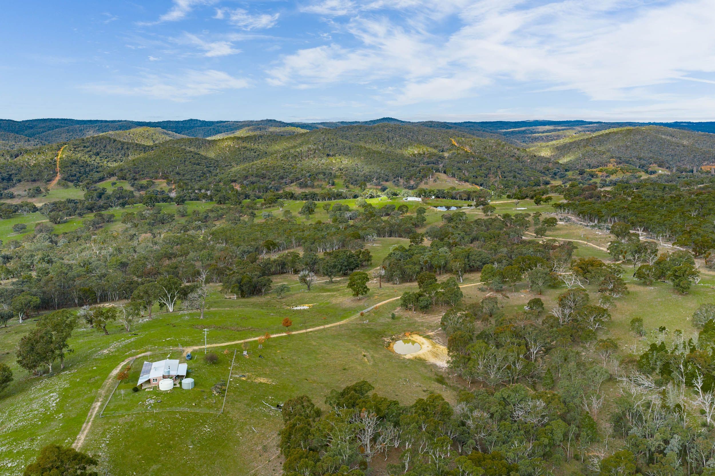 505 Wangalo Road, Peelwood NSW 2583, Peelwood - Thumbnail 5