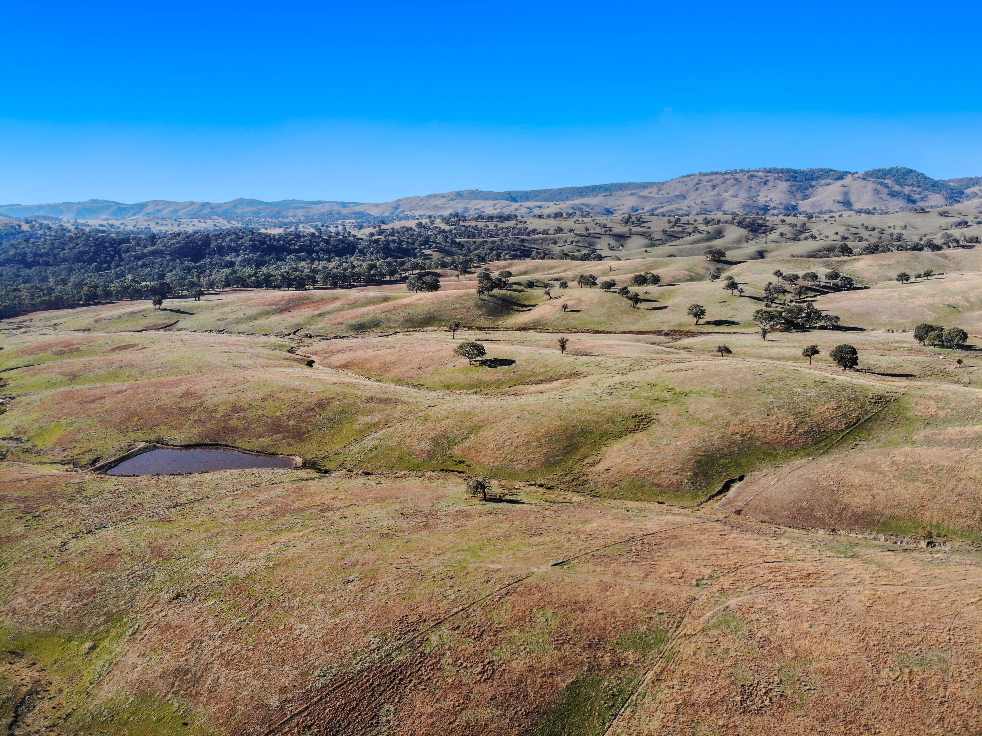 1072 Wee Jasper Road, Tumut NSW 2720, Wyangle - Thumbnail 3