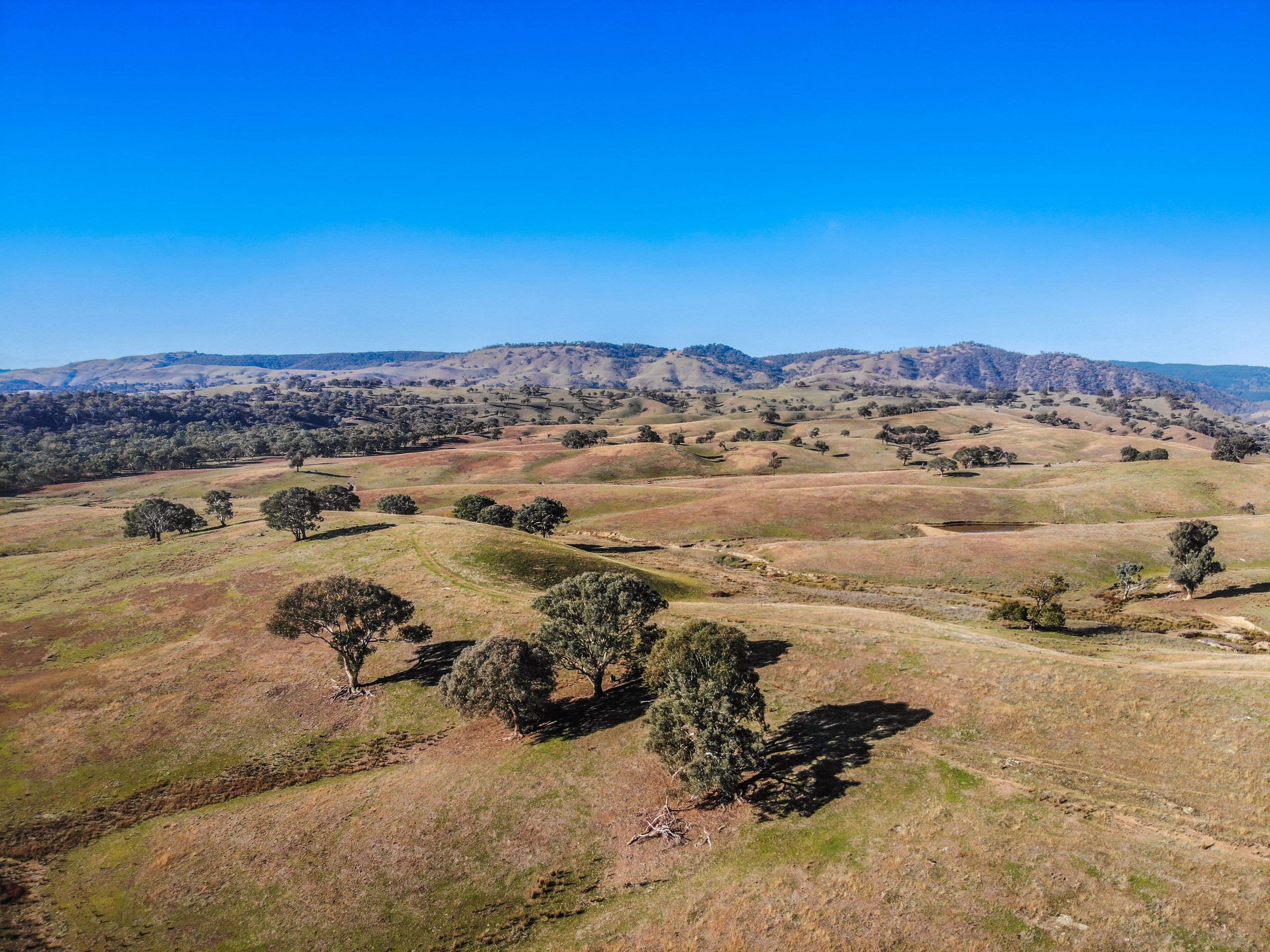 1072 Wee Jasper Road, Tumut NSW 2720, Wyangle - Thumbnail 4