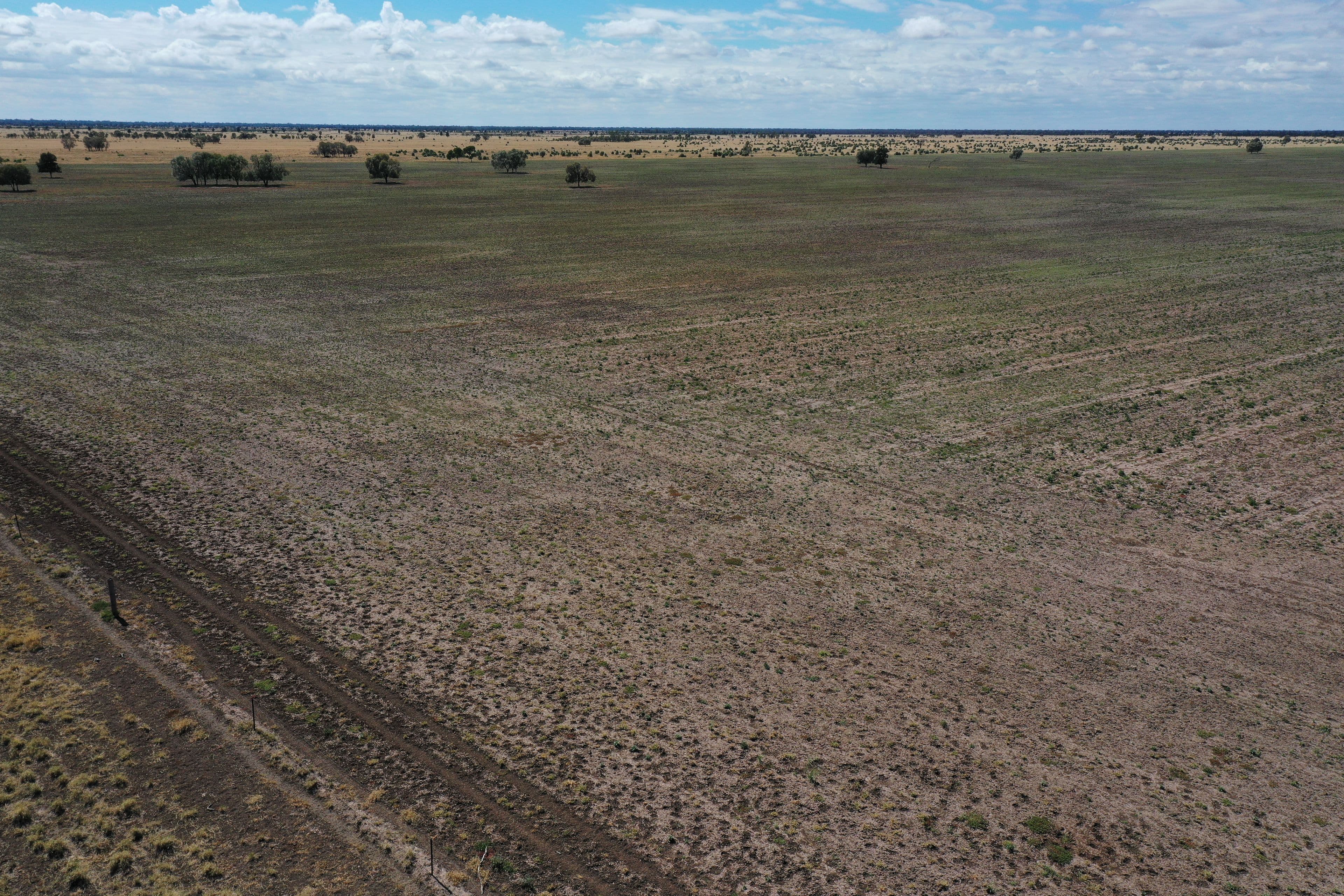 13724 Mitchell - St George Road, St George QLD 4487, St George - Thumbnail 5