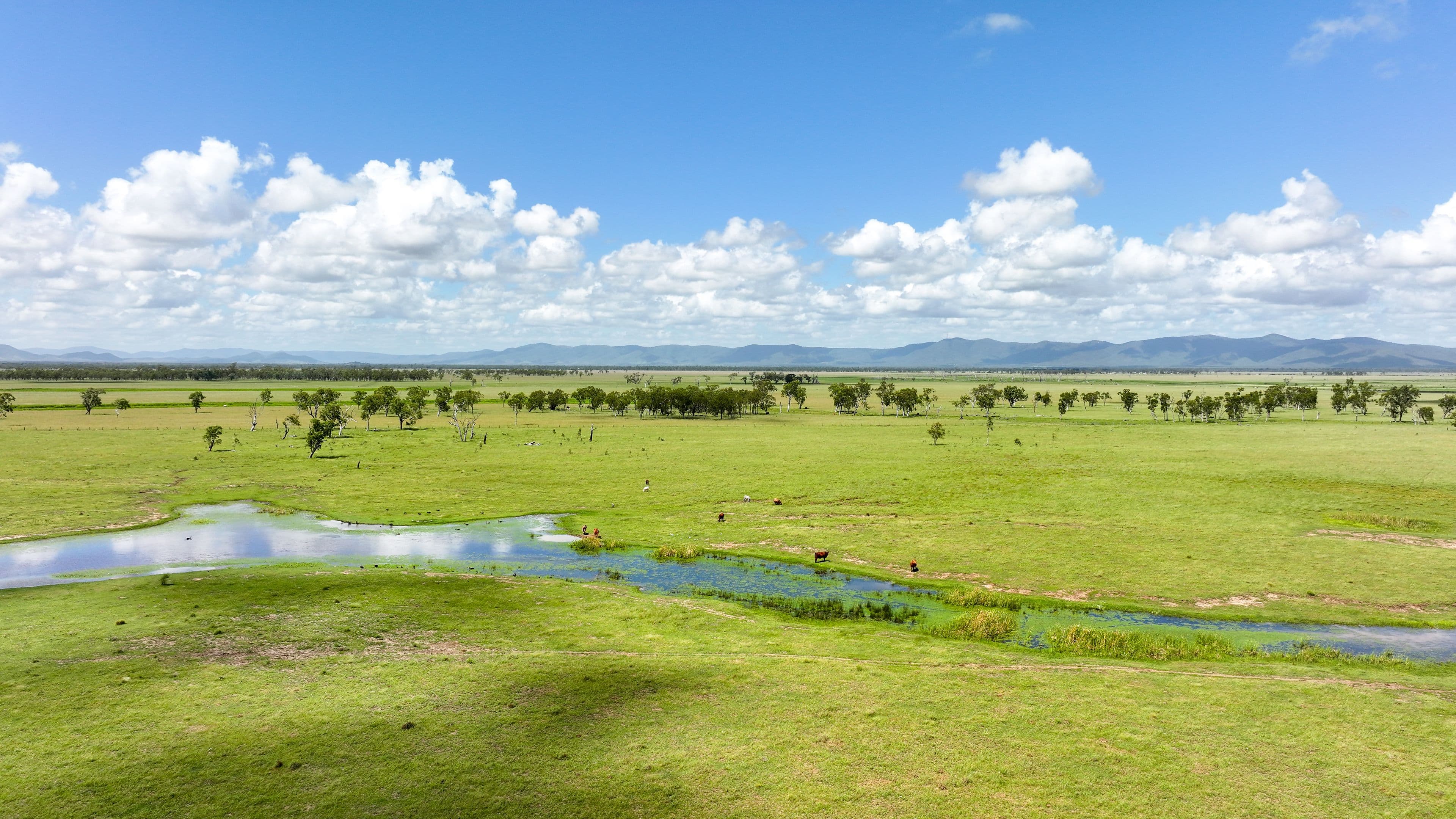 "Fishpond" Casuarina Road, Midgee QLD 4702, Midgee - Thumbnail 3