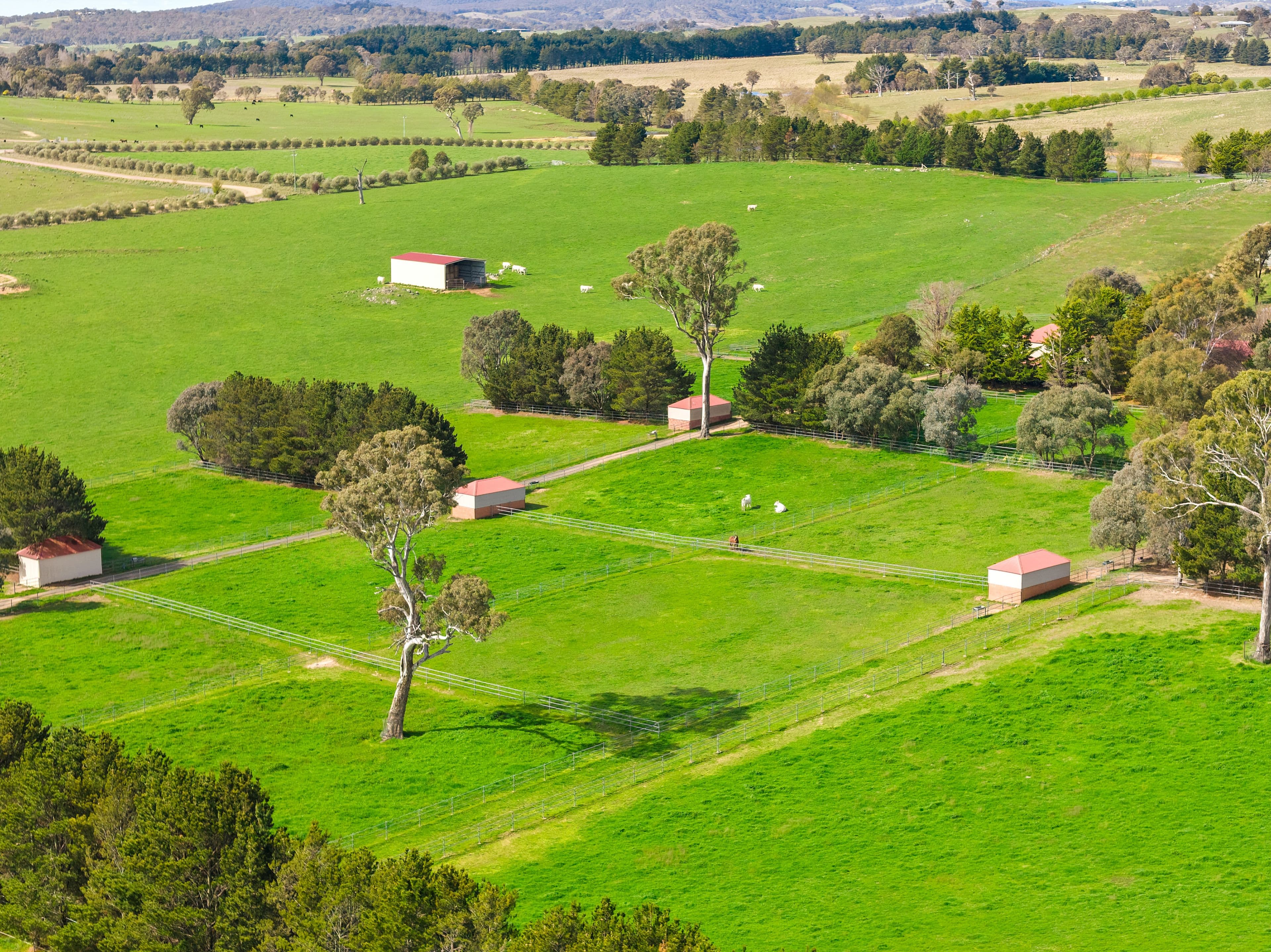 713 Nanima Road, Springrange NSW 2618, Springrange - Thumbnail 4
