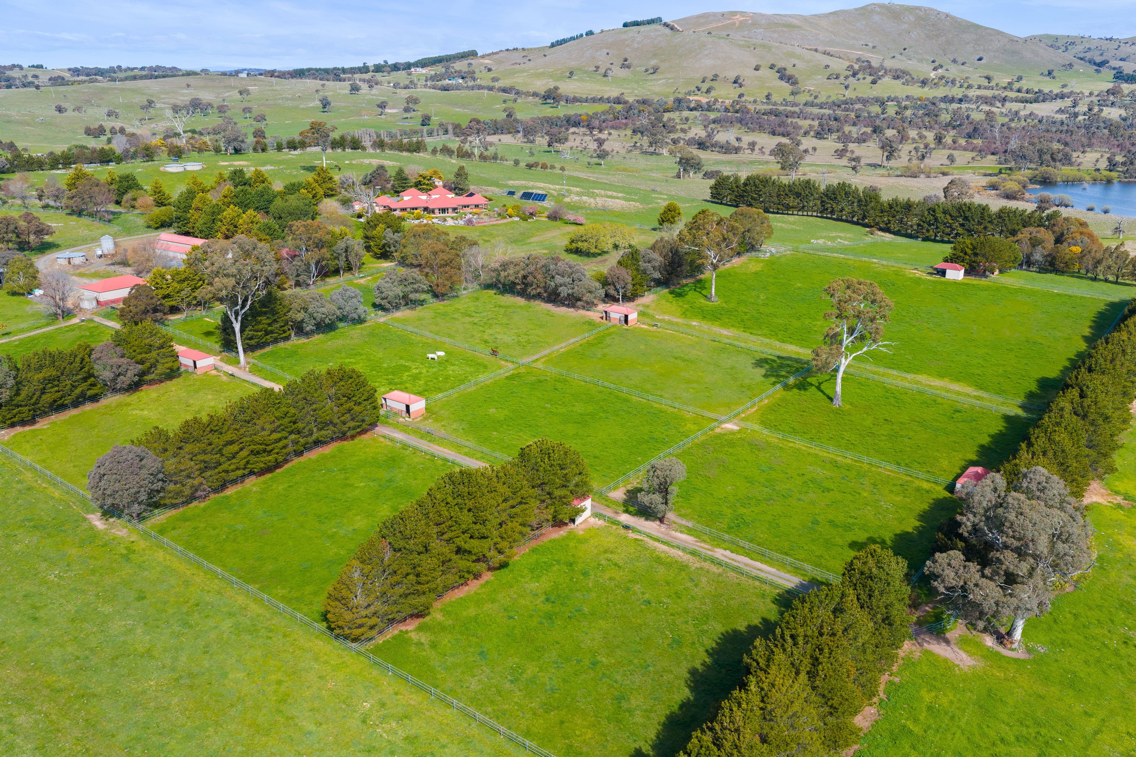 713 Nanima Road, Springrange NSW 2618, Springrange - Thumbnail 5